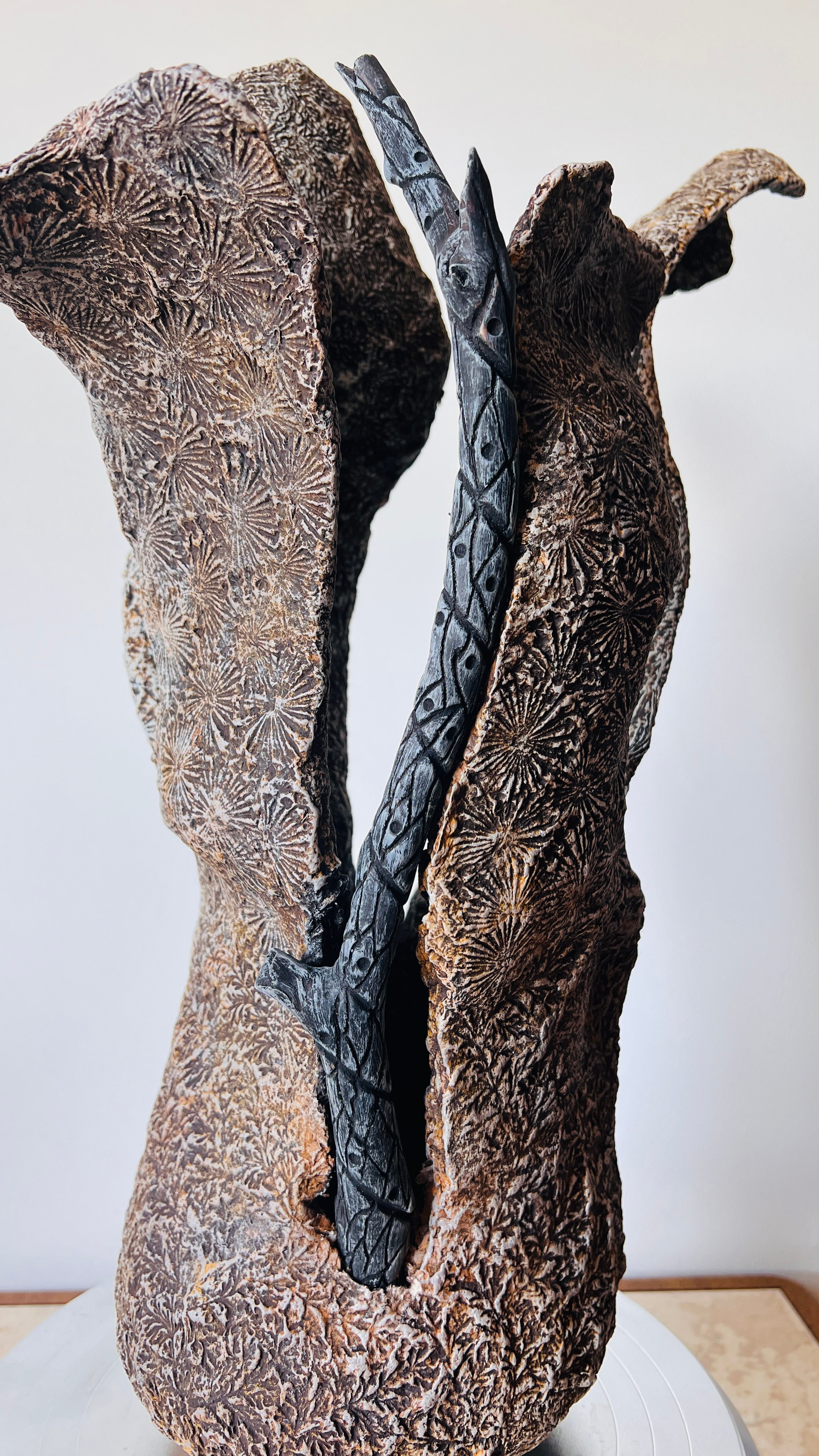 Terra Incognita. Artist Ekaterina Starovoitova