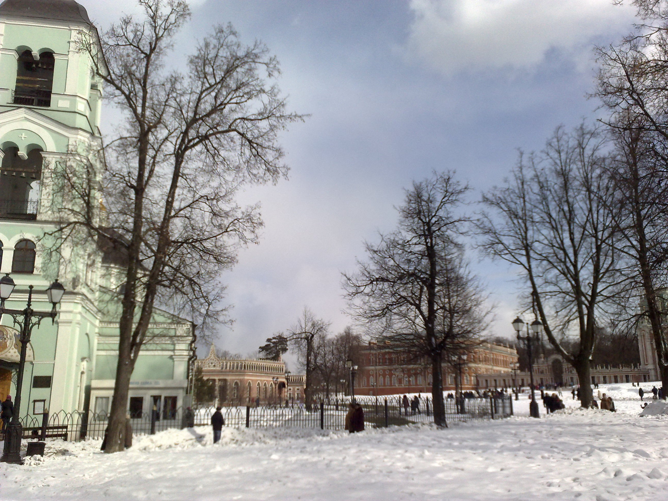 Царицино музей-усадьба. Питомник китайских хохлатых собак Poale Ell: купить щенка в питомнике