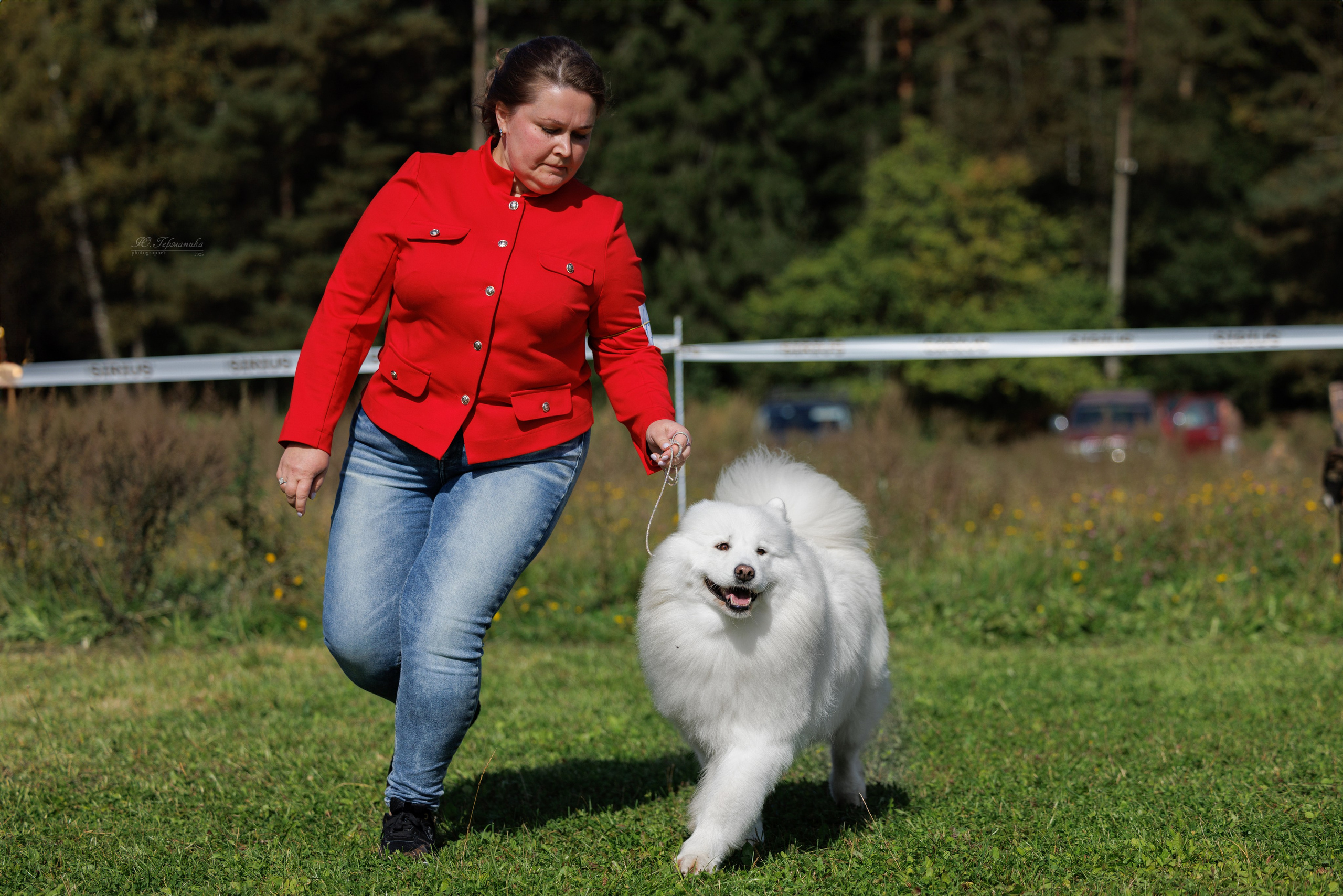 Зеленоград 13.09.2025. Фотограф-анималист Юлия Германика