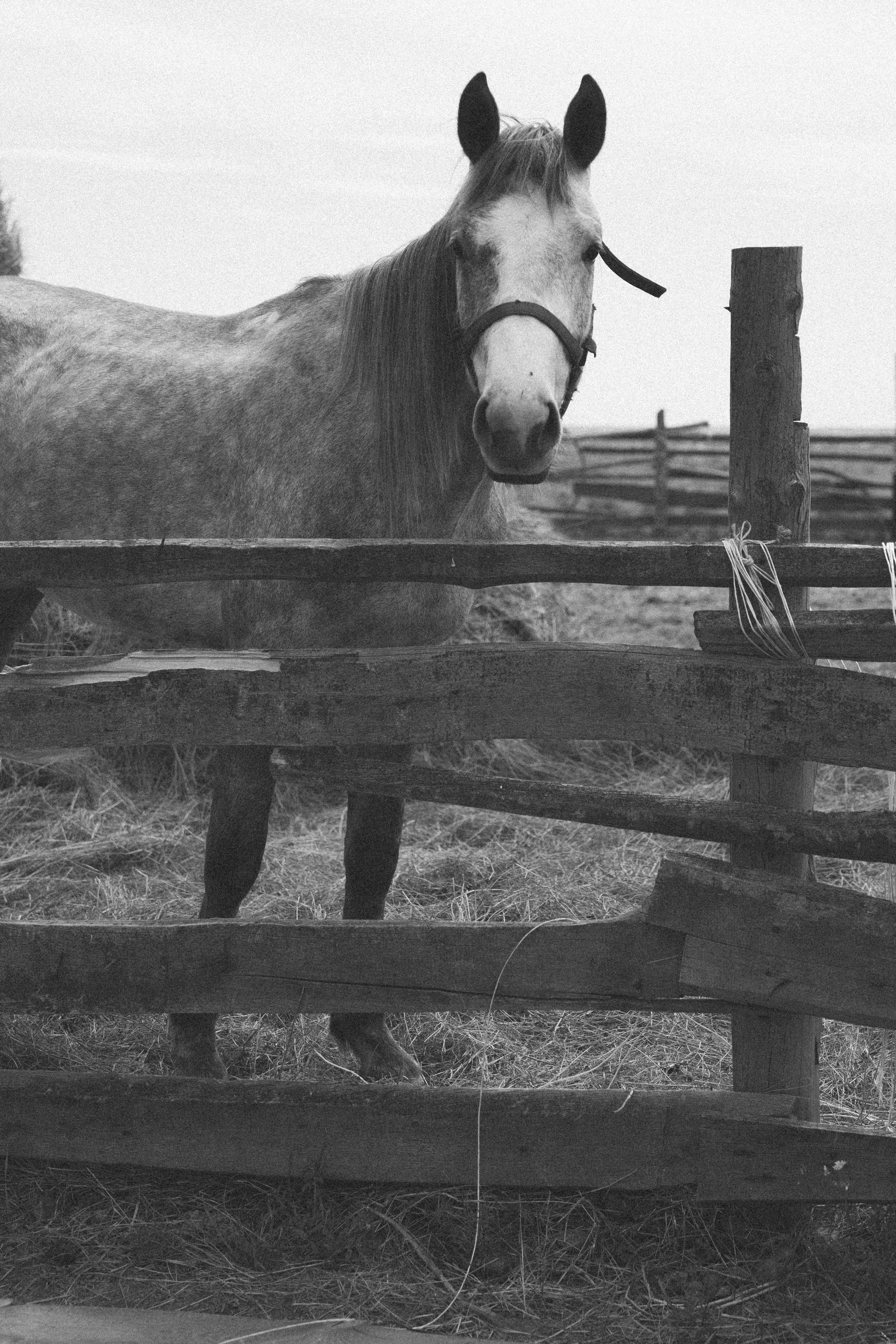 Калмыкия I Май 2024. Commercial photographer Natalia Bychkova