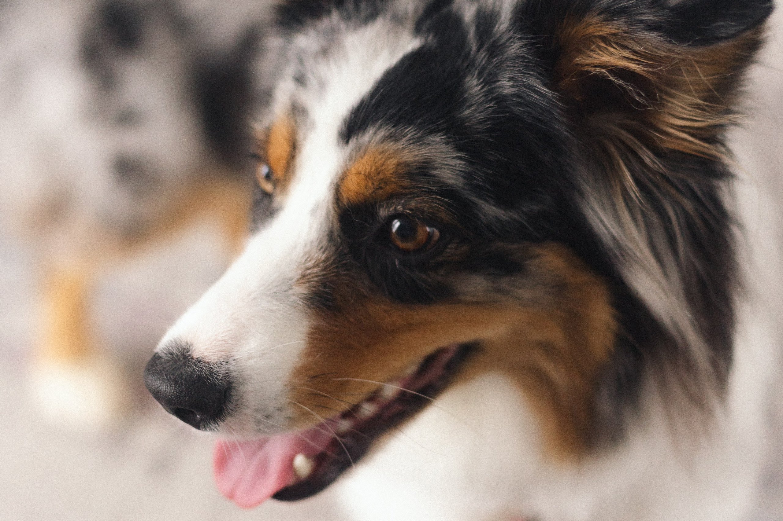 Появление брата. Фотограф из Петербурга