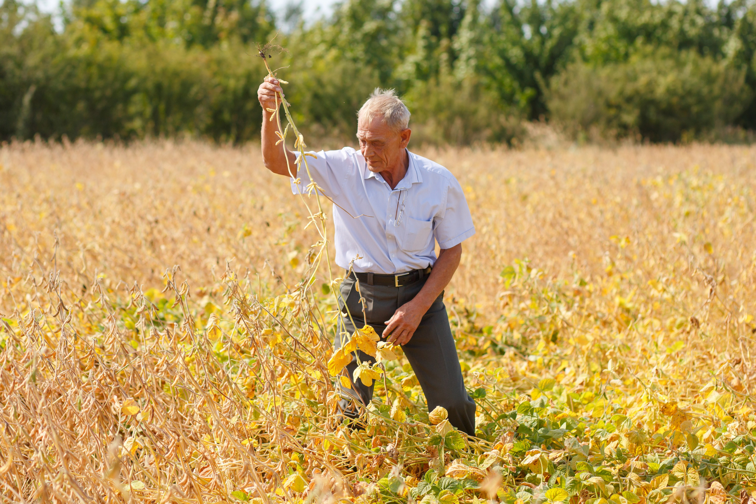Агротерра. Фотограф Яков Поспехов