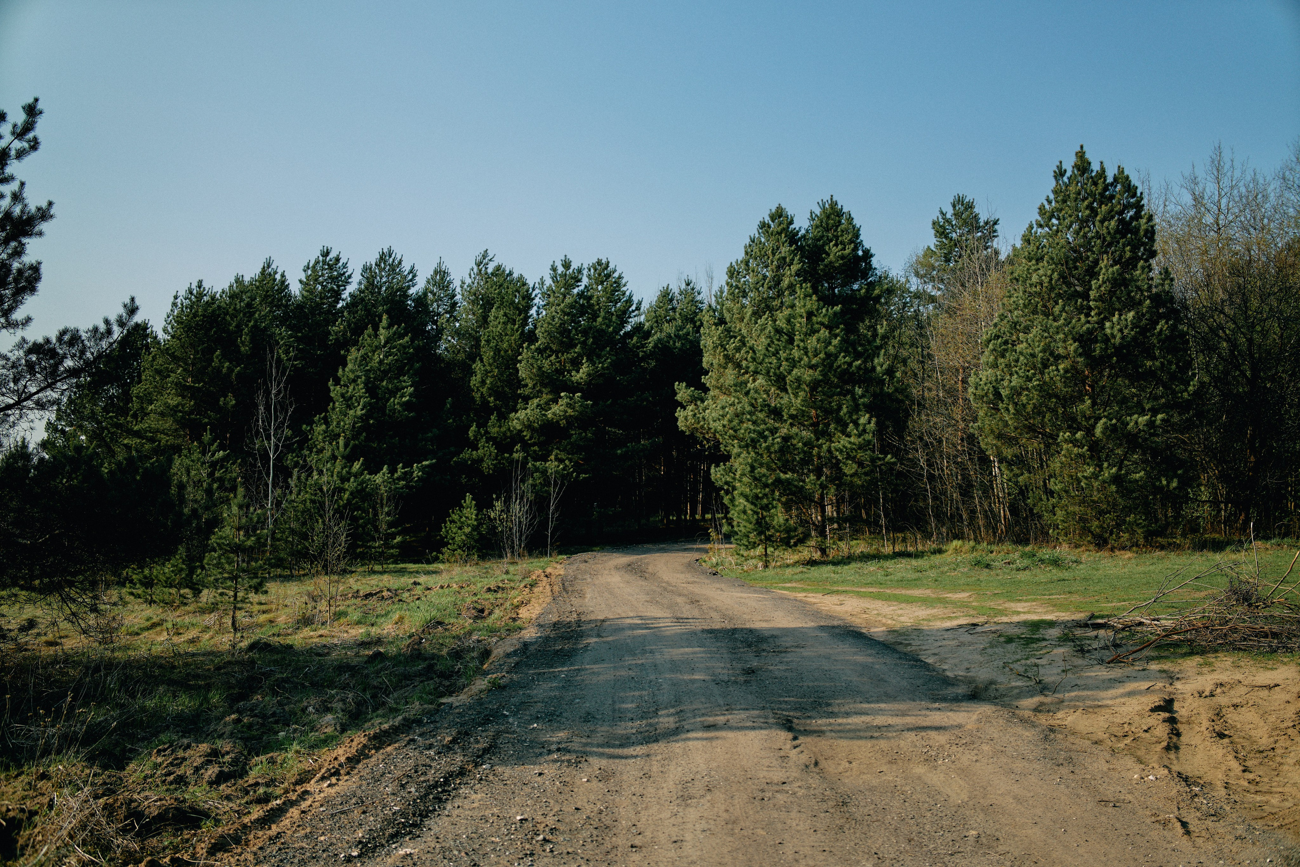 Бутик-отель Поле летом. Профессиональный Фотограф во Владимире, в Москве и в Суздале — Полина Романычева