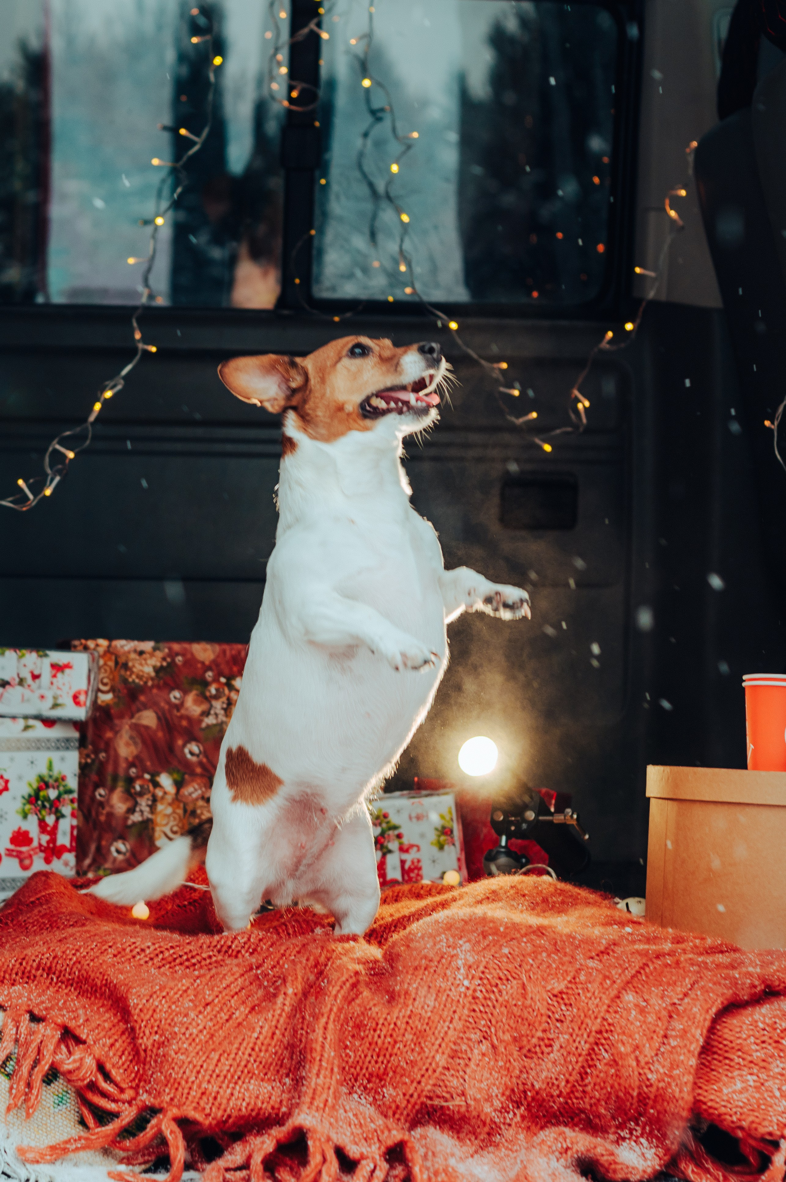 Вика и Денис. Детский и семейный фотограф Катерина Мишина