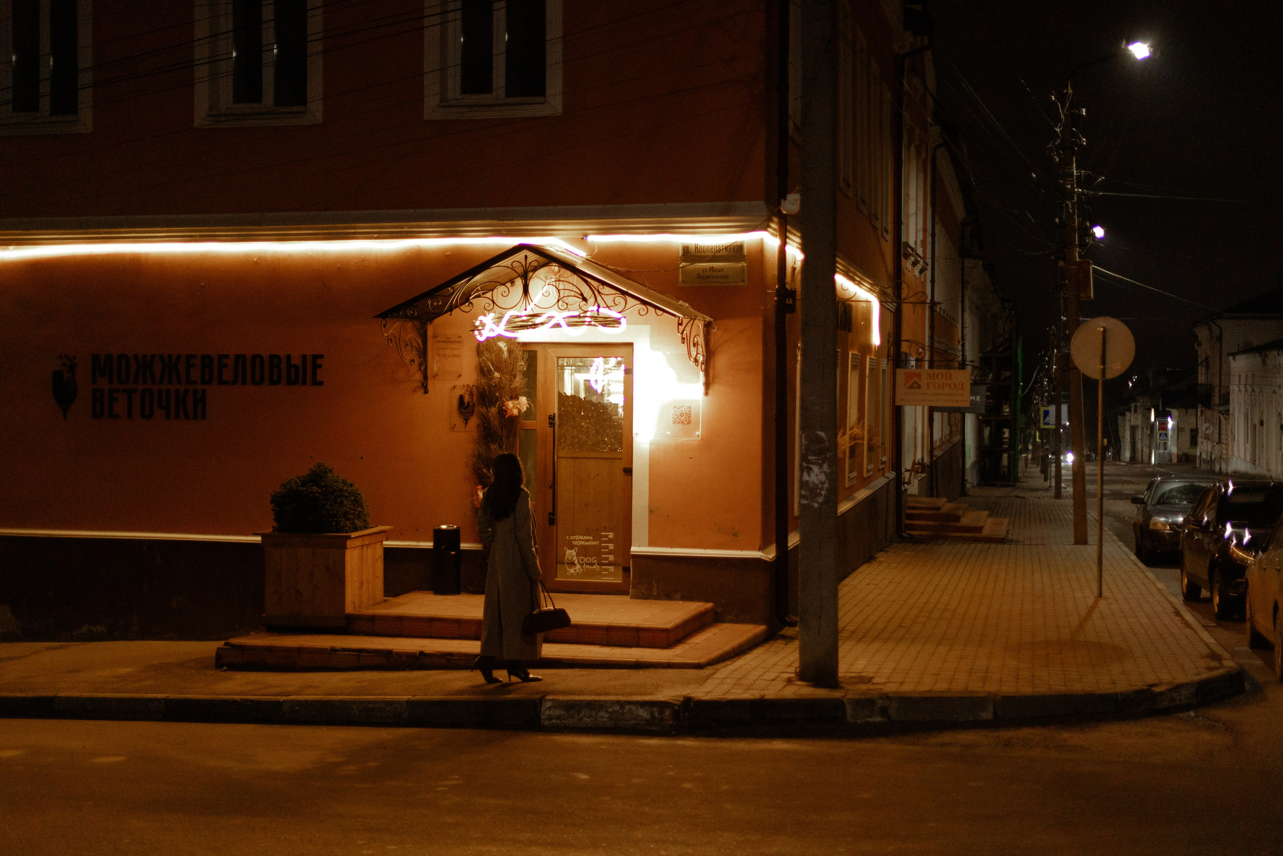 Светлана. Прогулка по ночному городу. Фотограф Мария Щеголькова. Чувственный женский портрет