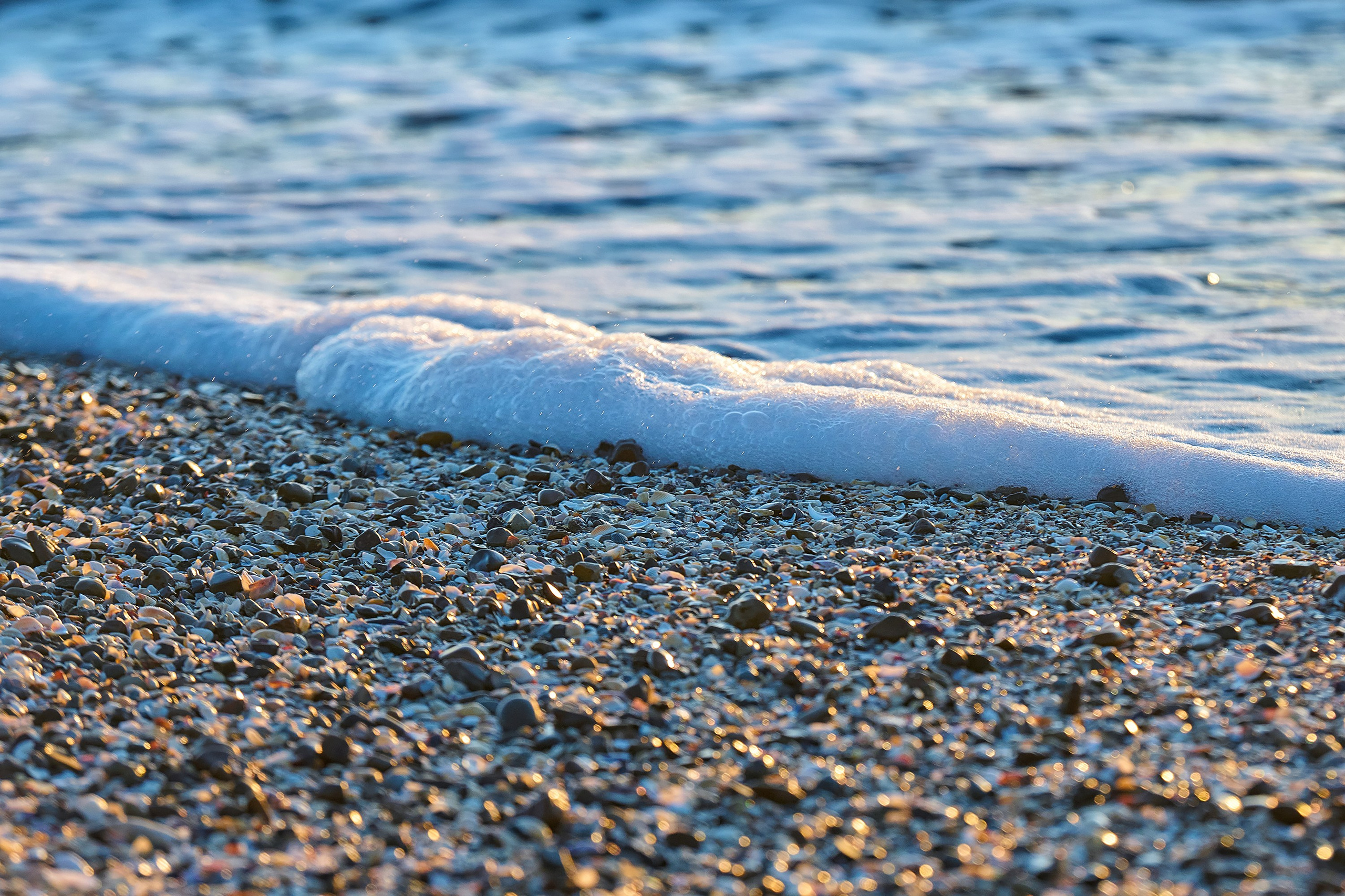 полоса прибоя, прибой, ракушка, пена, пена морская, закат