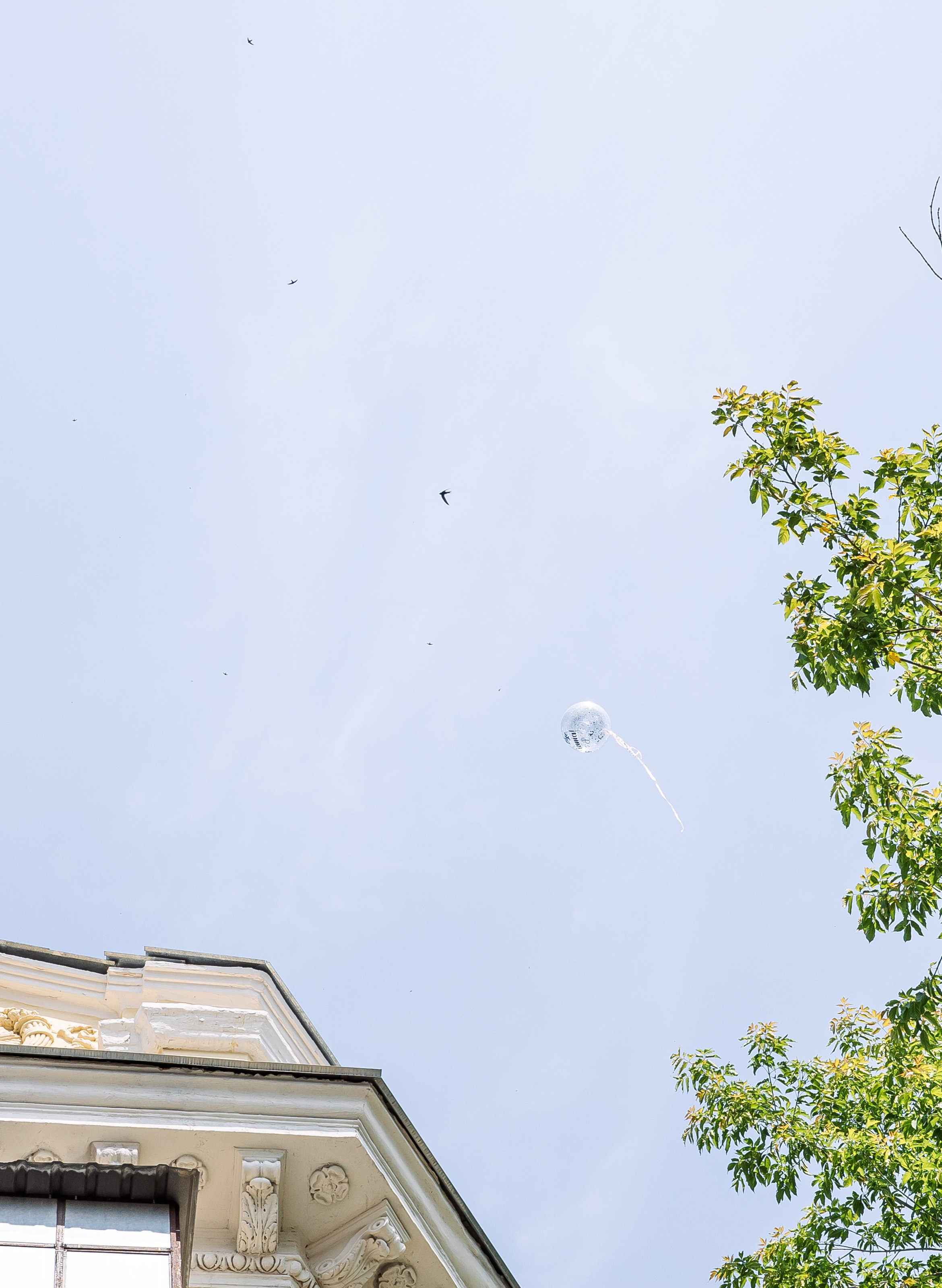 Евгений и Татьяна. Свадебный и семейный фотограф в Челябинске Юлия Ишимова
