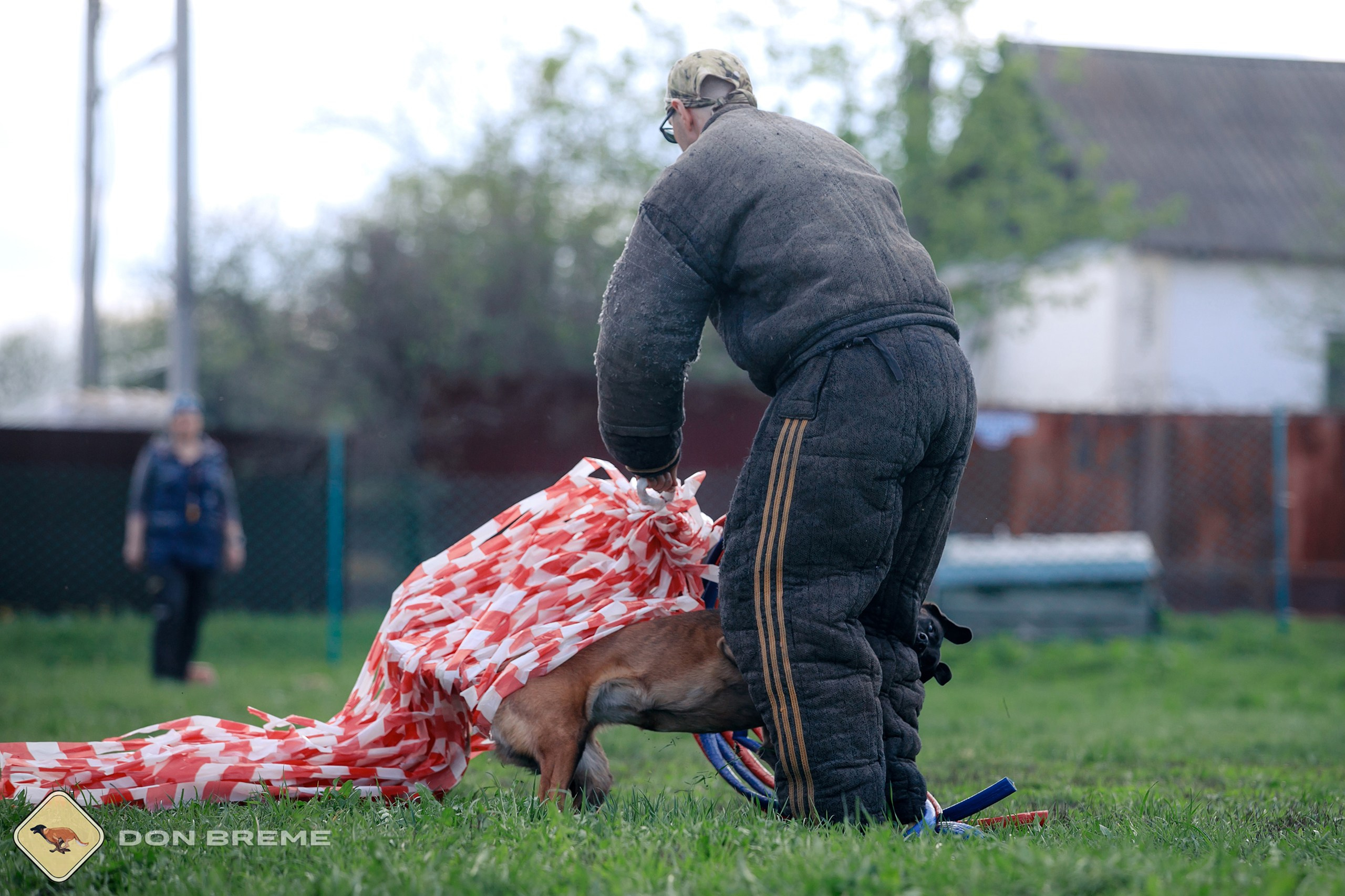 Семинар для фигурантов, день 2. Фотограф-анималист Mary Mart — Москва, Питер