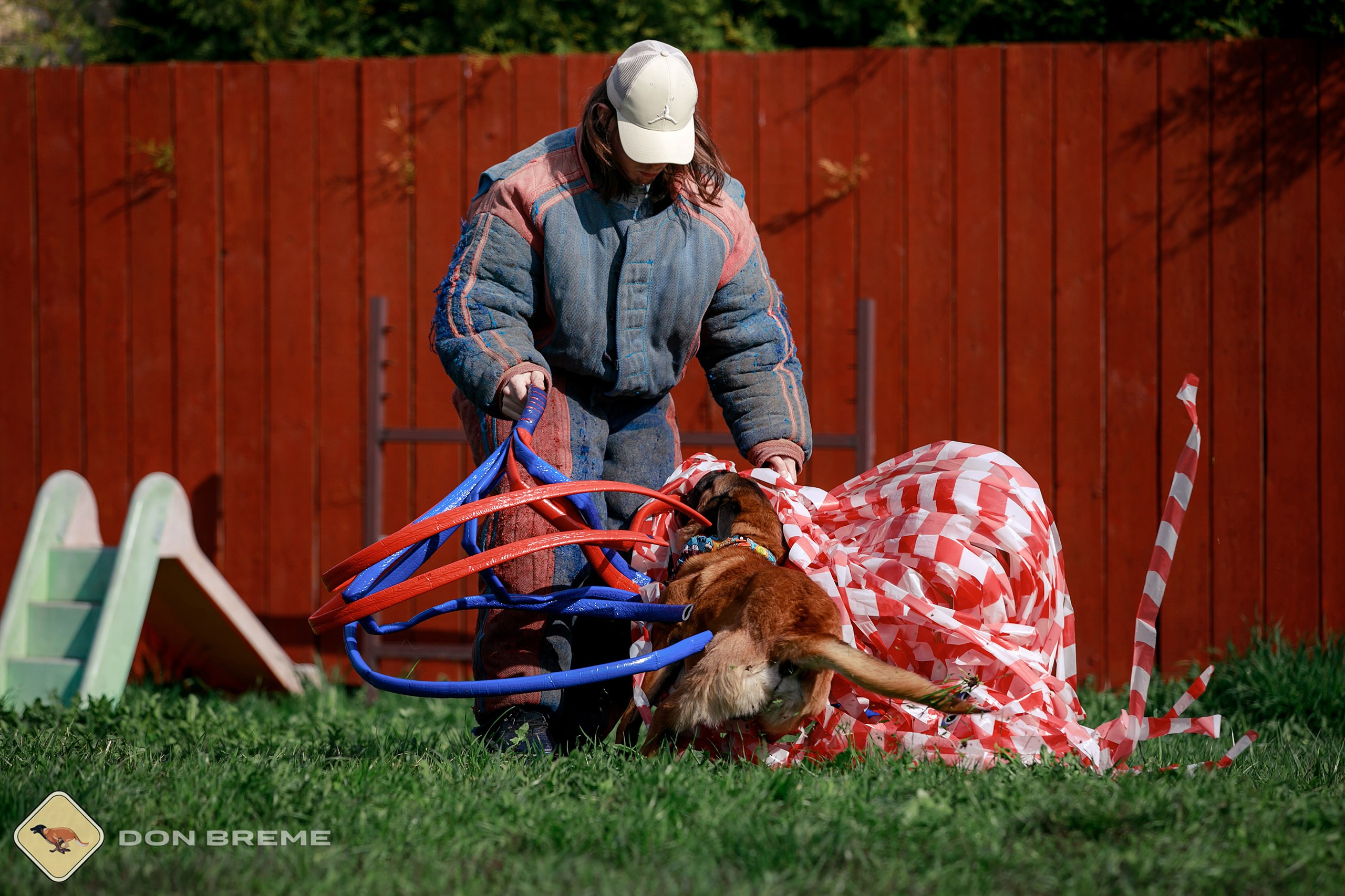 Семинар для фигурантов, день 2. Фотограф-анималист Mary Mart — Москва, Питер