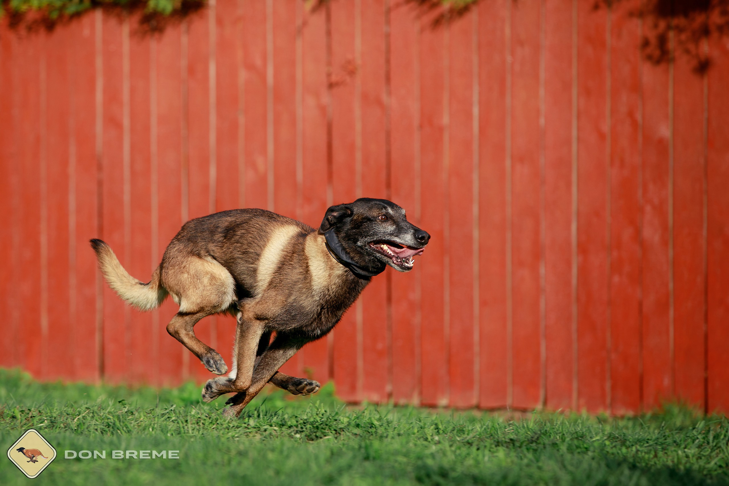 Семинар для фигурантов, день 2. Фотограф-анималист Mary Mart — Москва, Питер