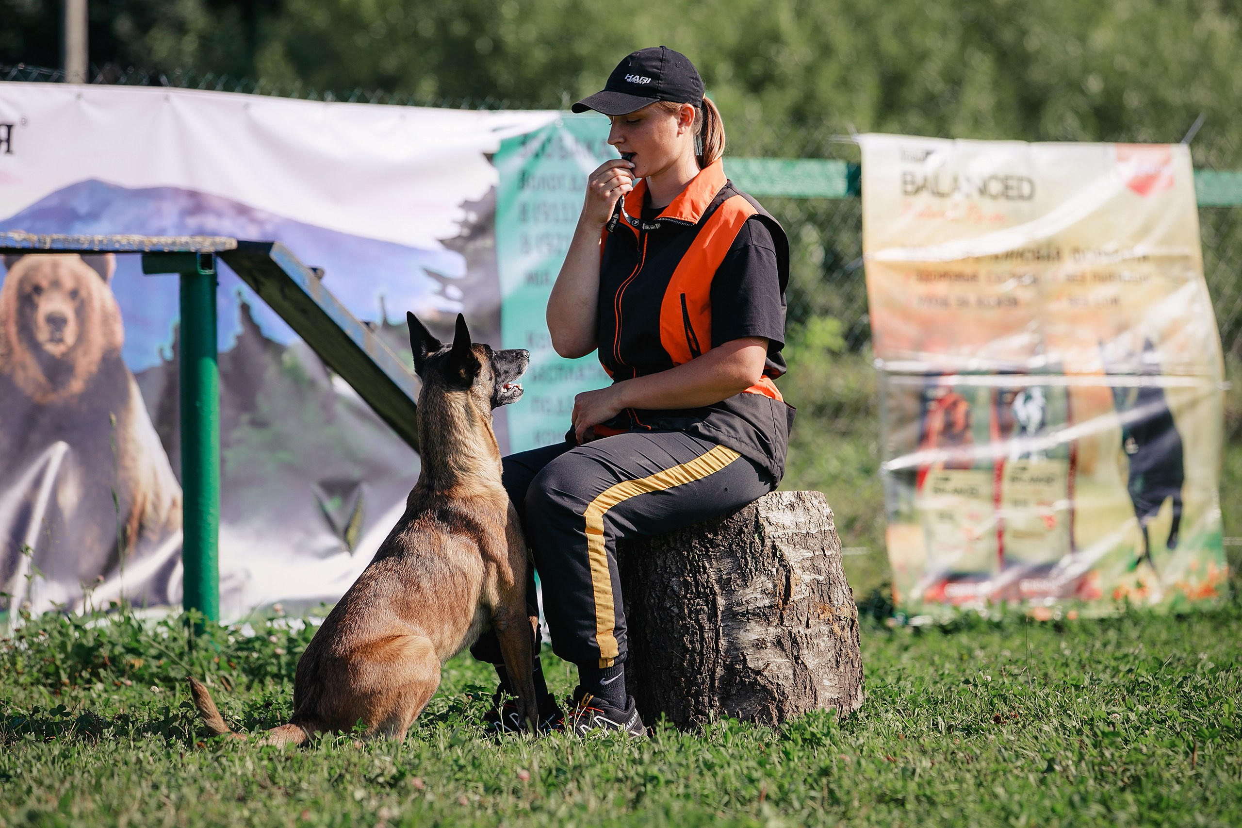 Мондьоринг М1, М2, М3, Вологда. Фотограф-анималист Mary Mart — Москва, Питер
