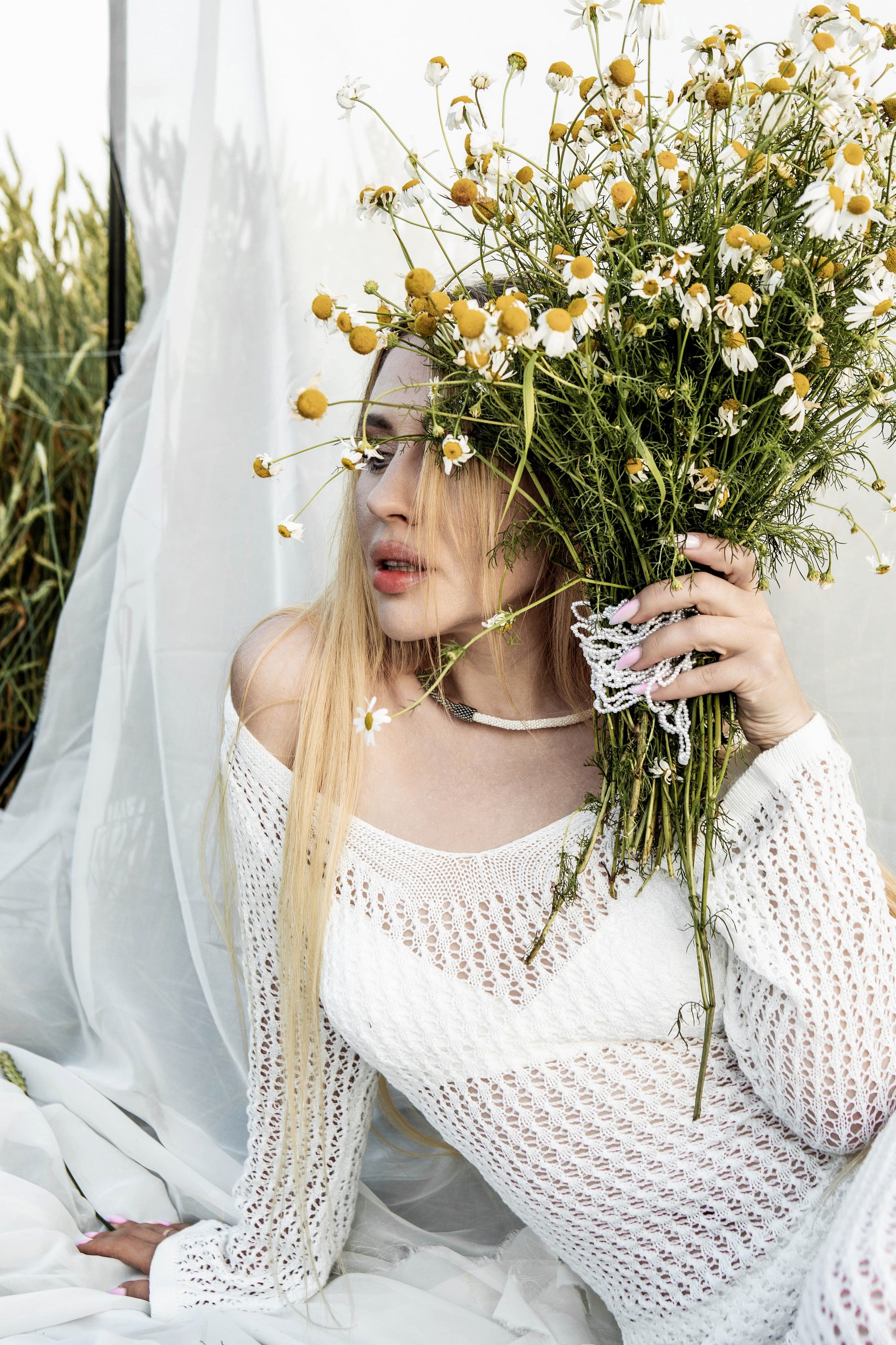 Ромашки. Фотограф Екатерина Голицына