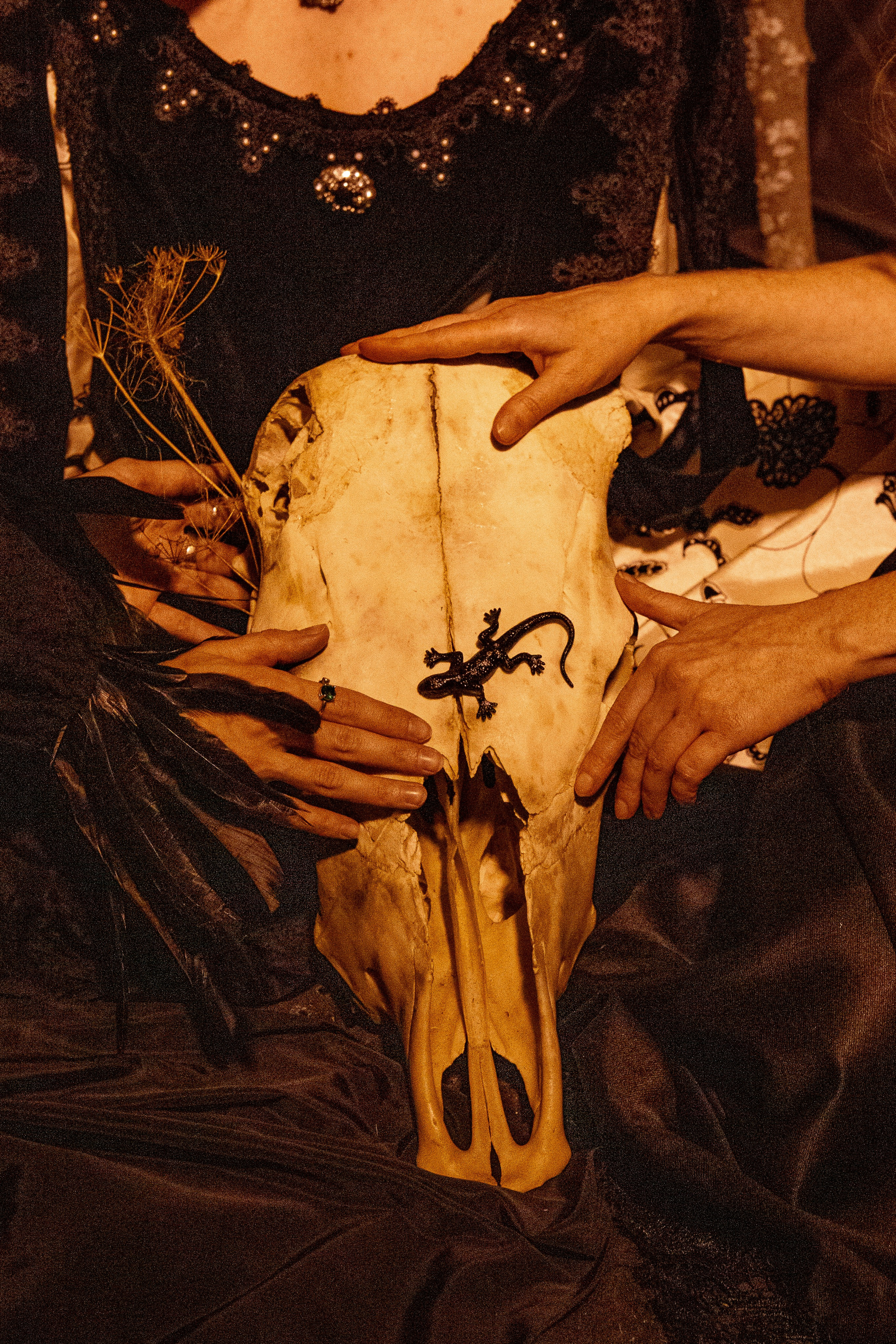 Салемские истории. Фотограф Екатерина Голицына