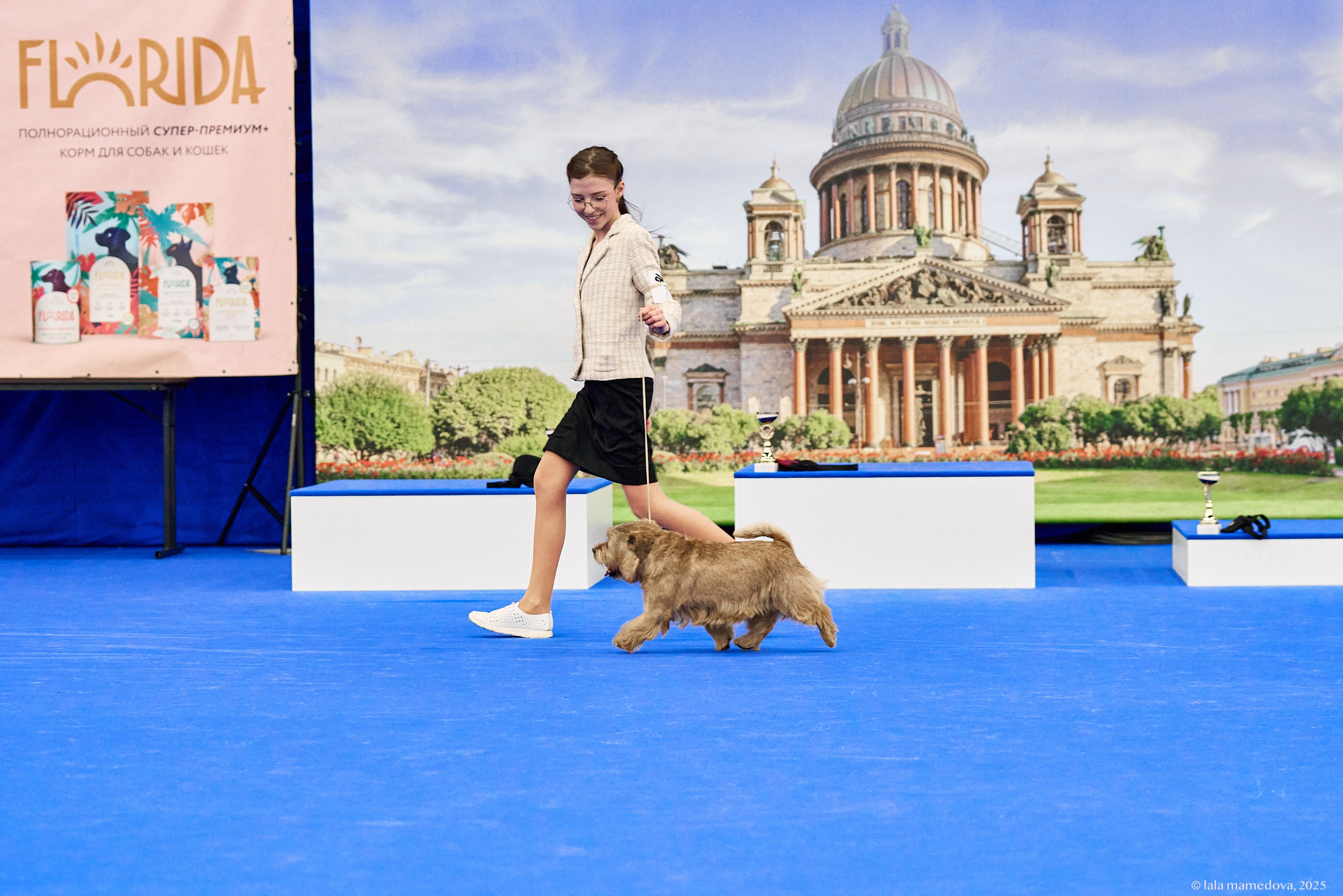 22-23 FEB 2025 | NATIONAL DOG SHOW «BALTIC TRIUMPH-2025»