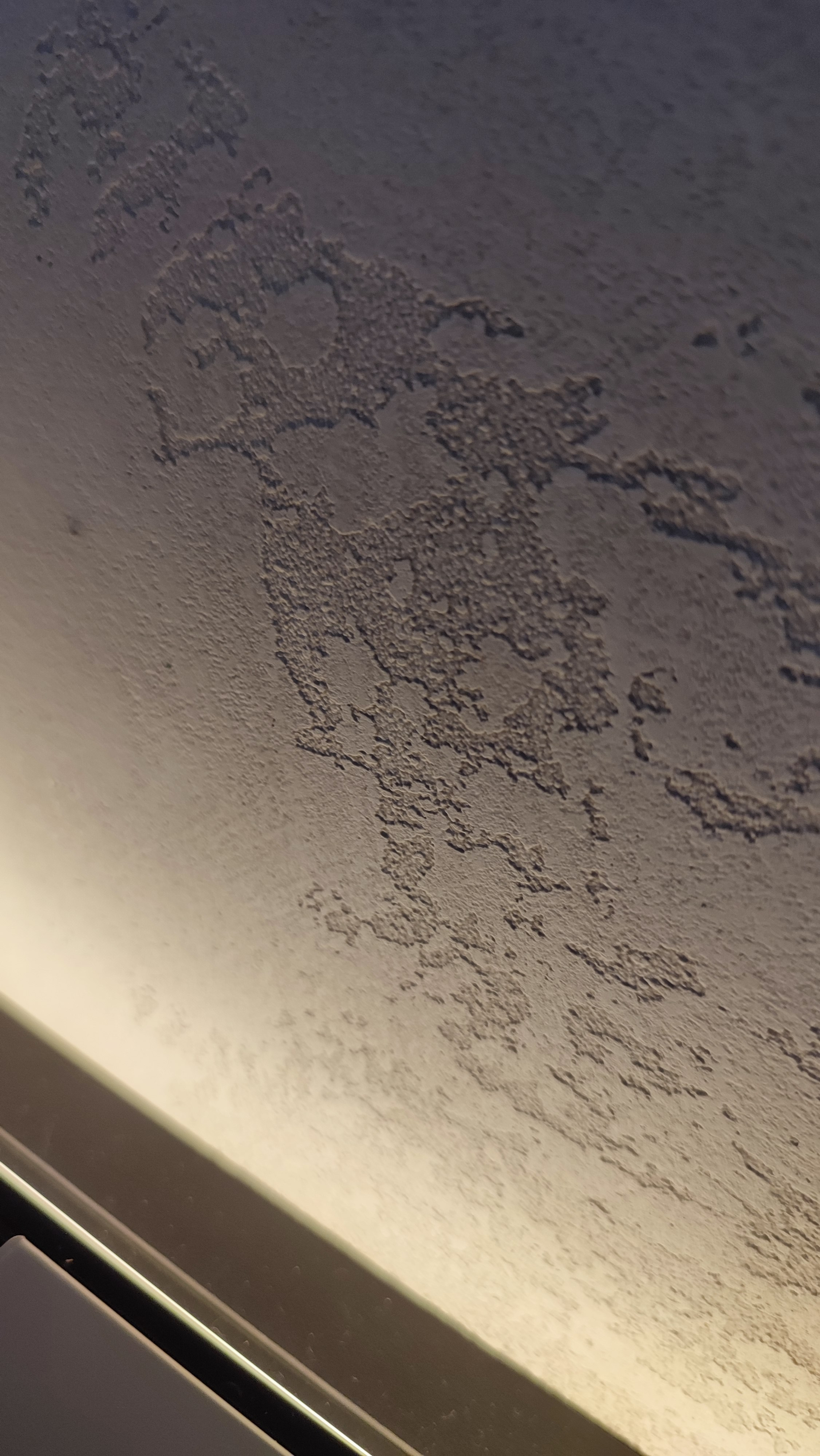 2-я Круговая, 67.3 кв.м. Дизайн интерьера, 3D-визуализация Владивосток