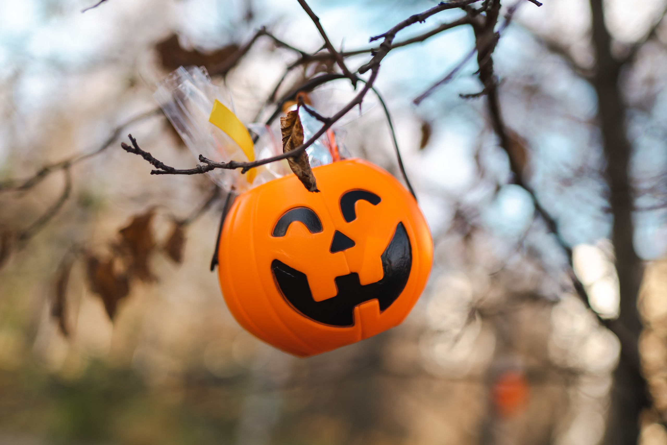 Хэллоуин с «Мамами ВДНХ». Семейный фотограф Варвара Сорока в городе Москве