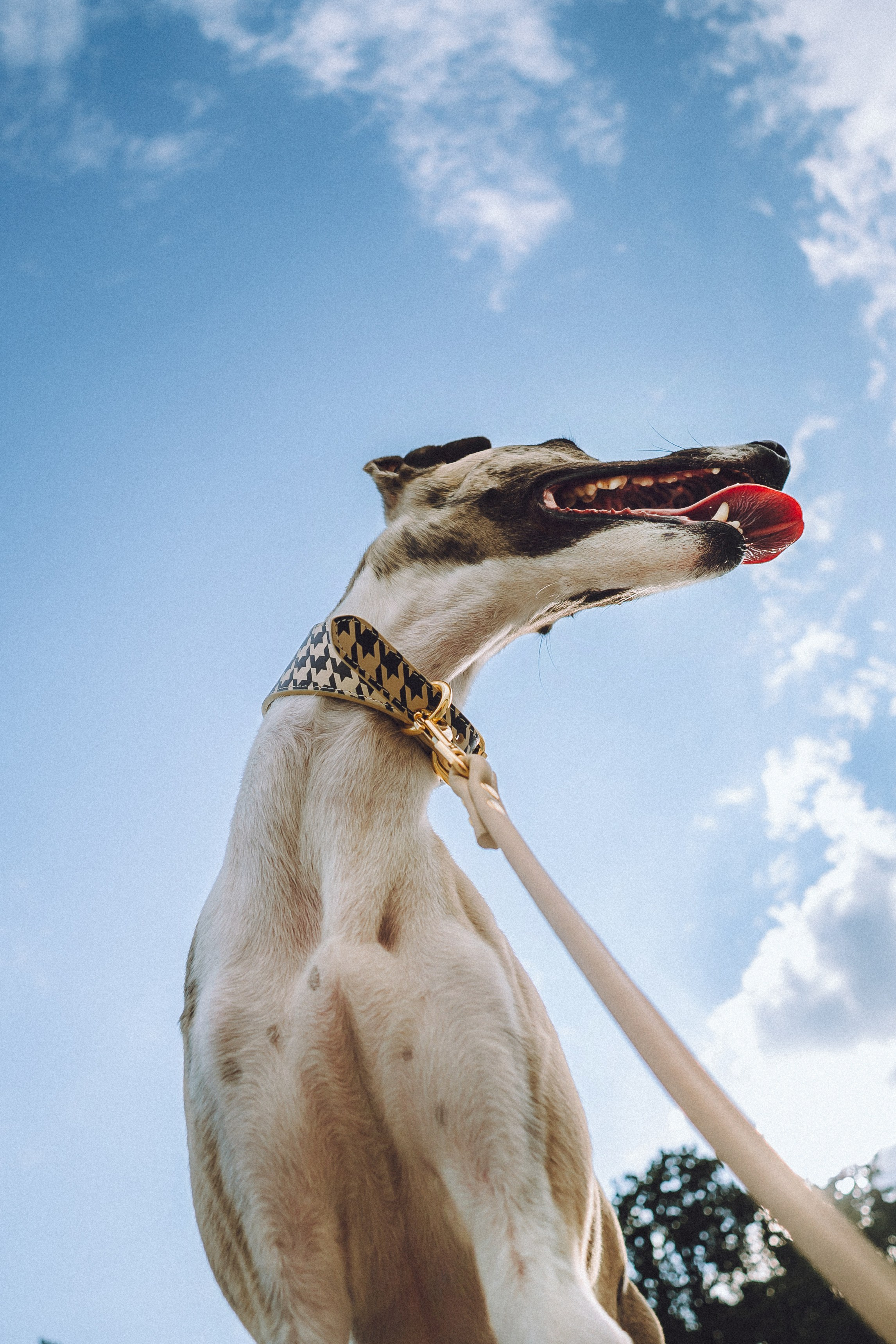 Ирина, Илья и Рик