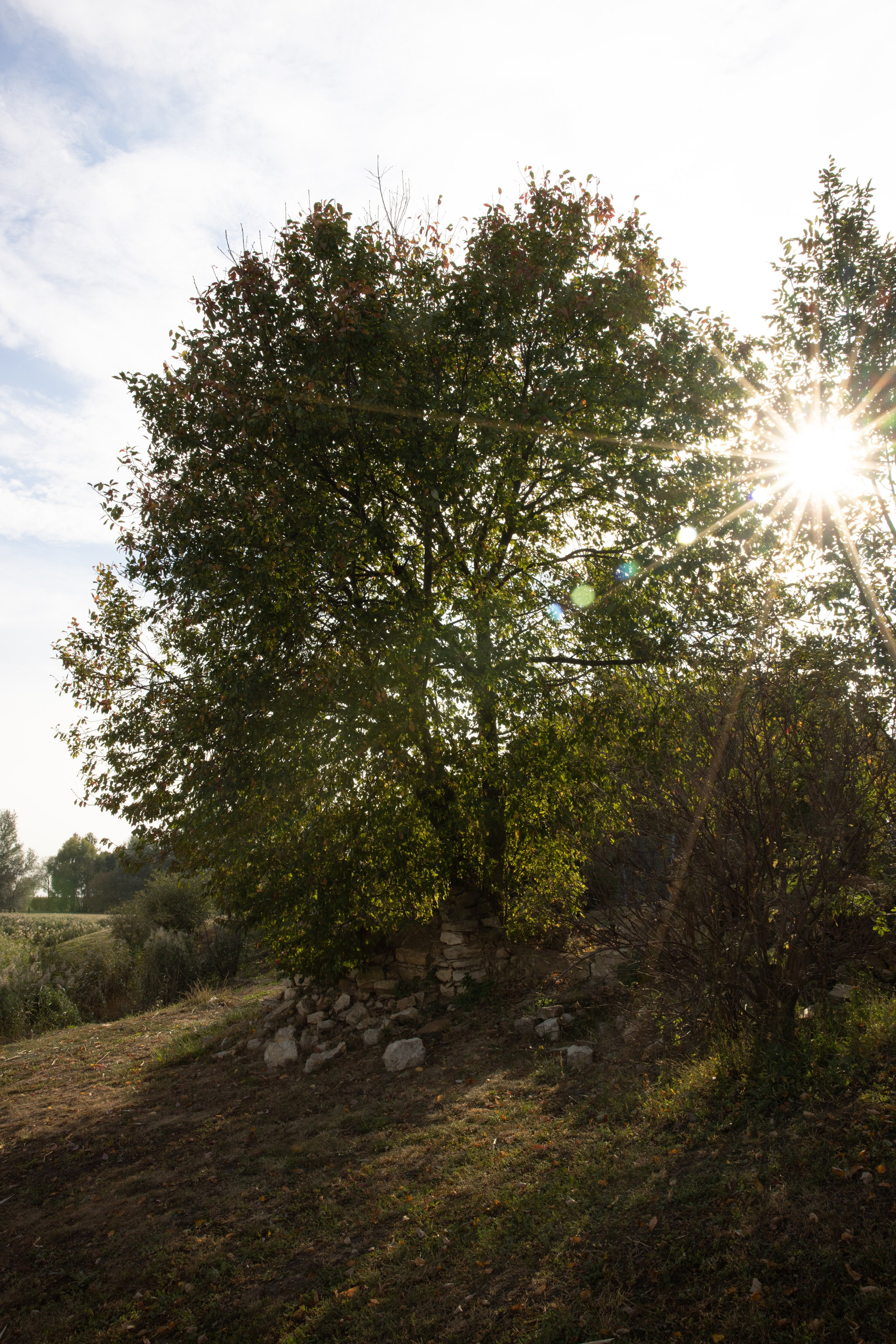 Поездка на поле Кулеково. Фотограф в Туле Крупский АнДРей. Фотостудия «КАДР71» в Туле