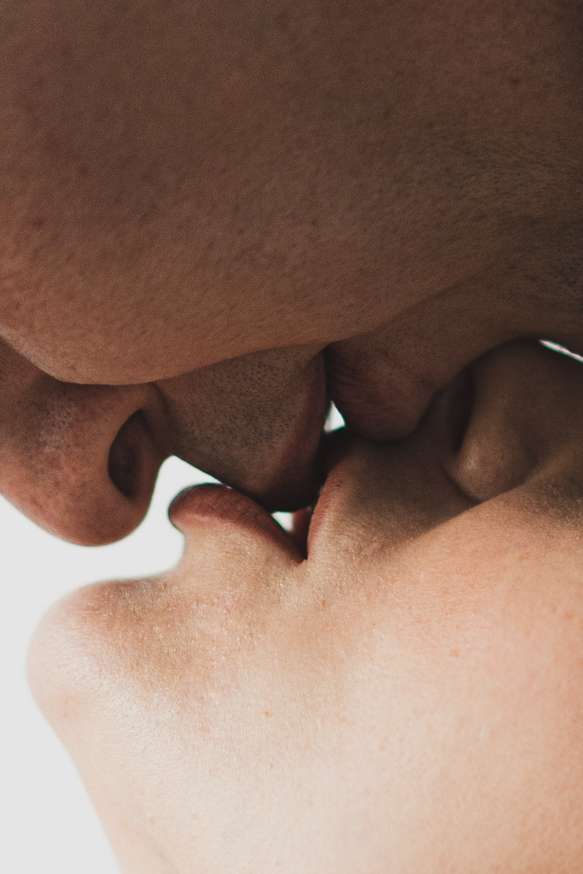 Элегия чувств. Главная