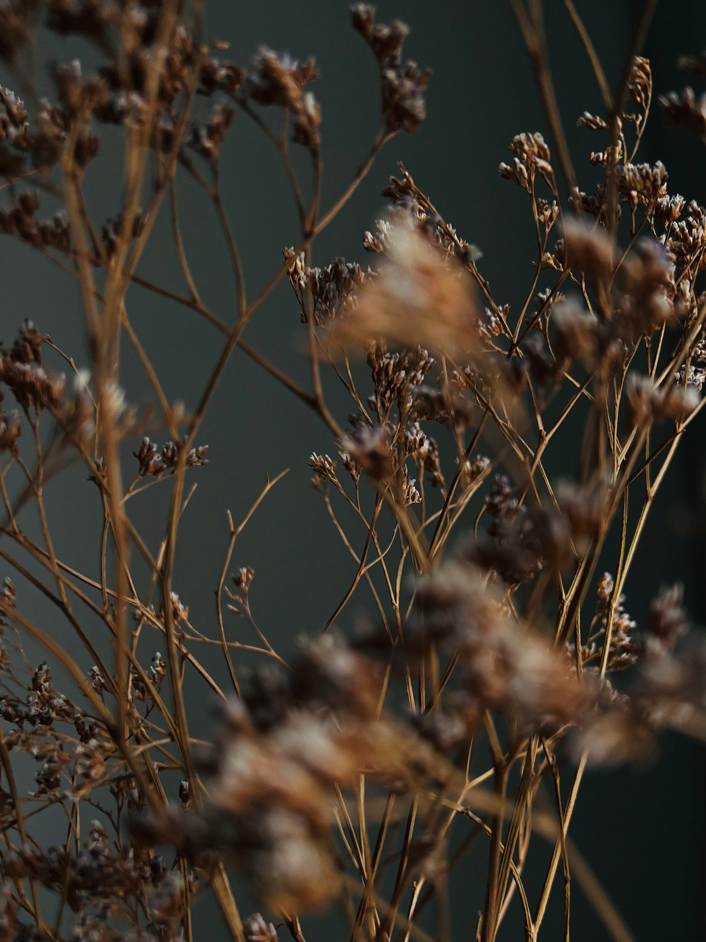 Fragments. Artem Khusainov