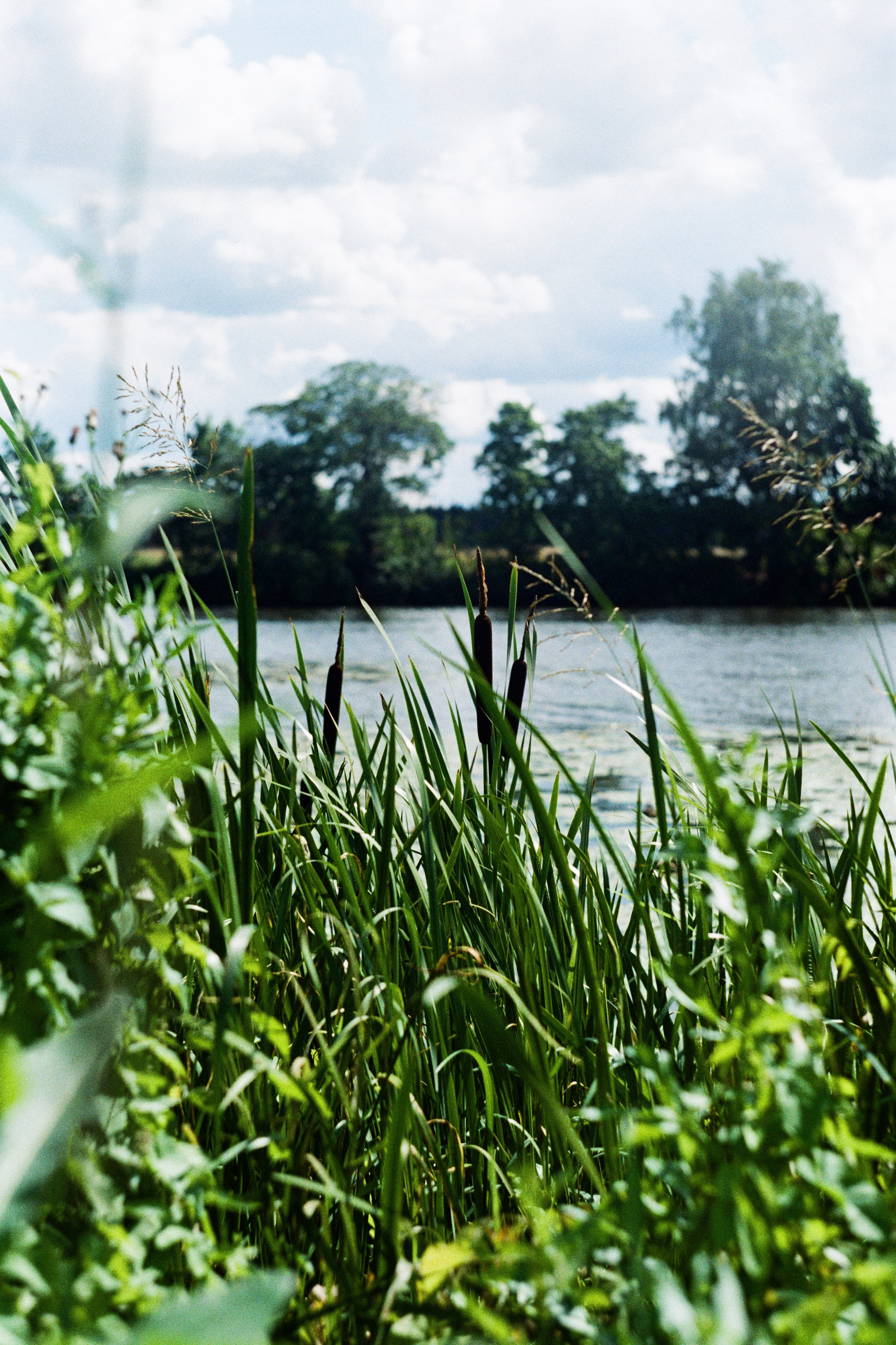 Grain. Artem Khusainov