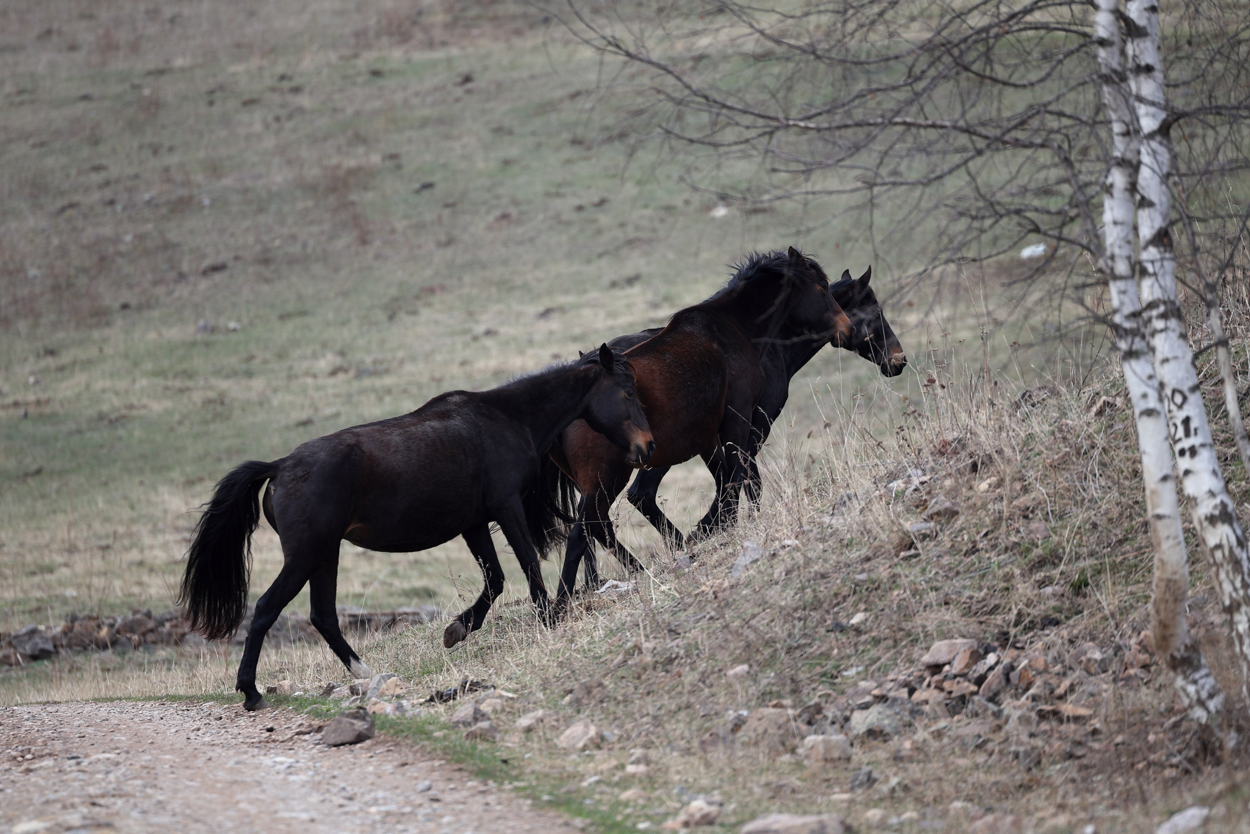 Репортажная фотосъемка выезда на эндуро мотоциклах в Кисловодск с НашиТуры. 