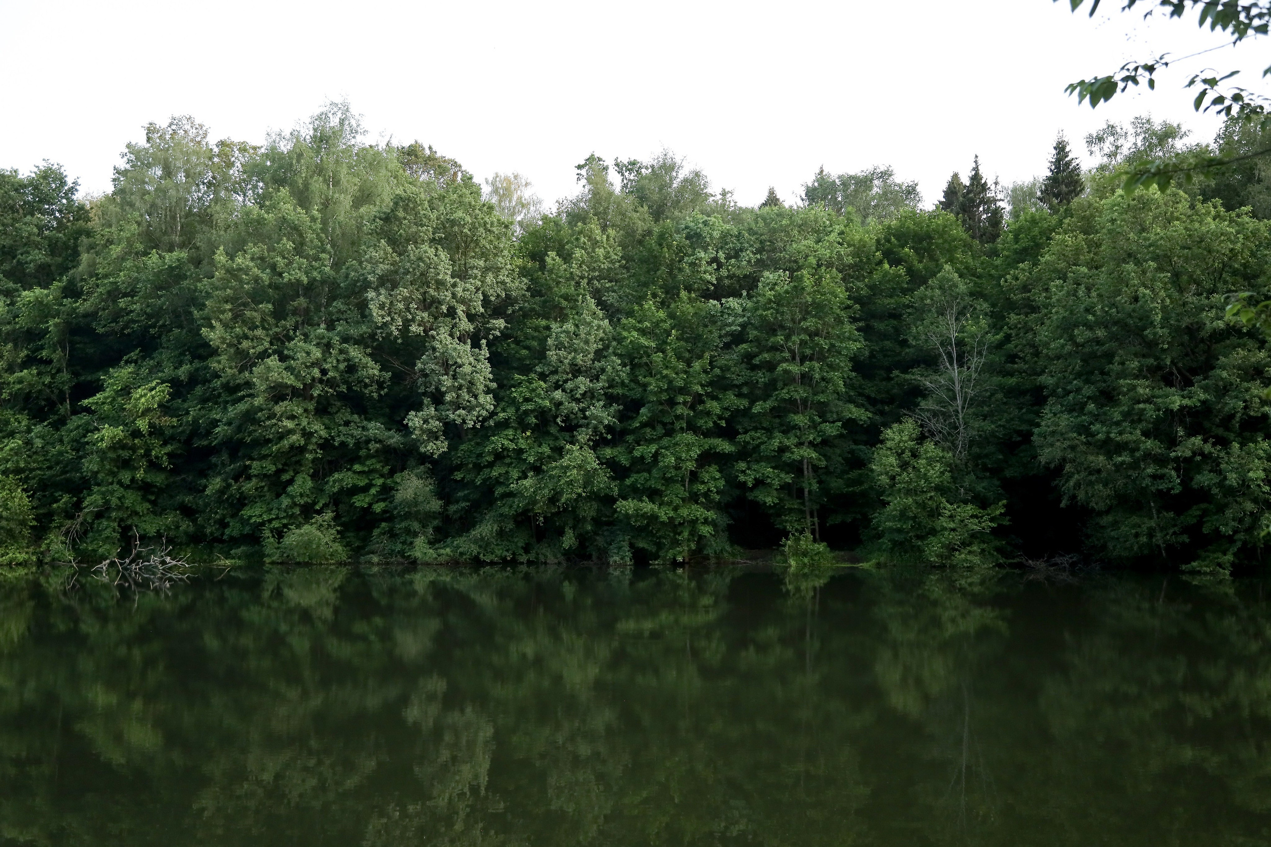 Летний корпоратив Arlight. Фотограф Антон Чупринин