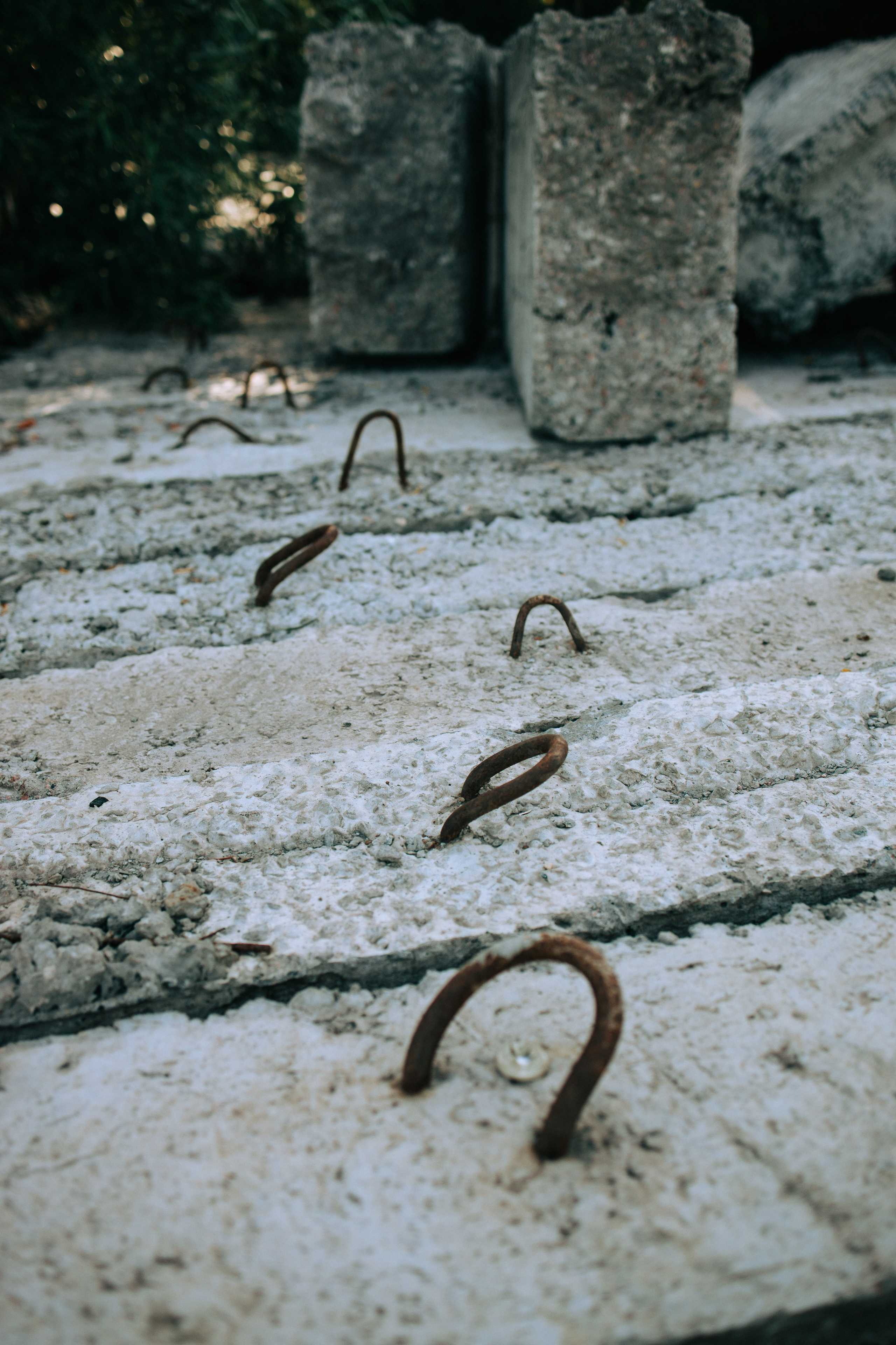 Стадион Металлург. Свадебный и семейный фотограф в Туле и области Маша Костина