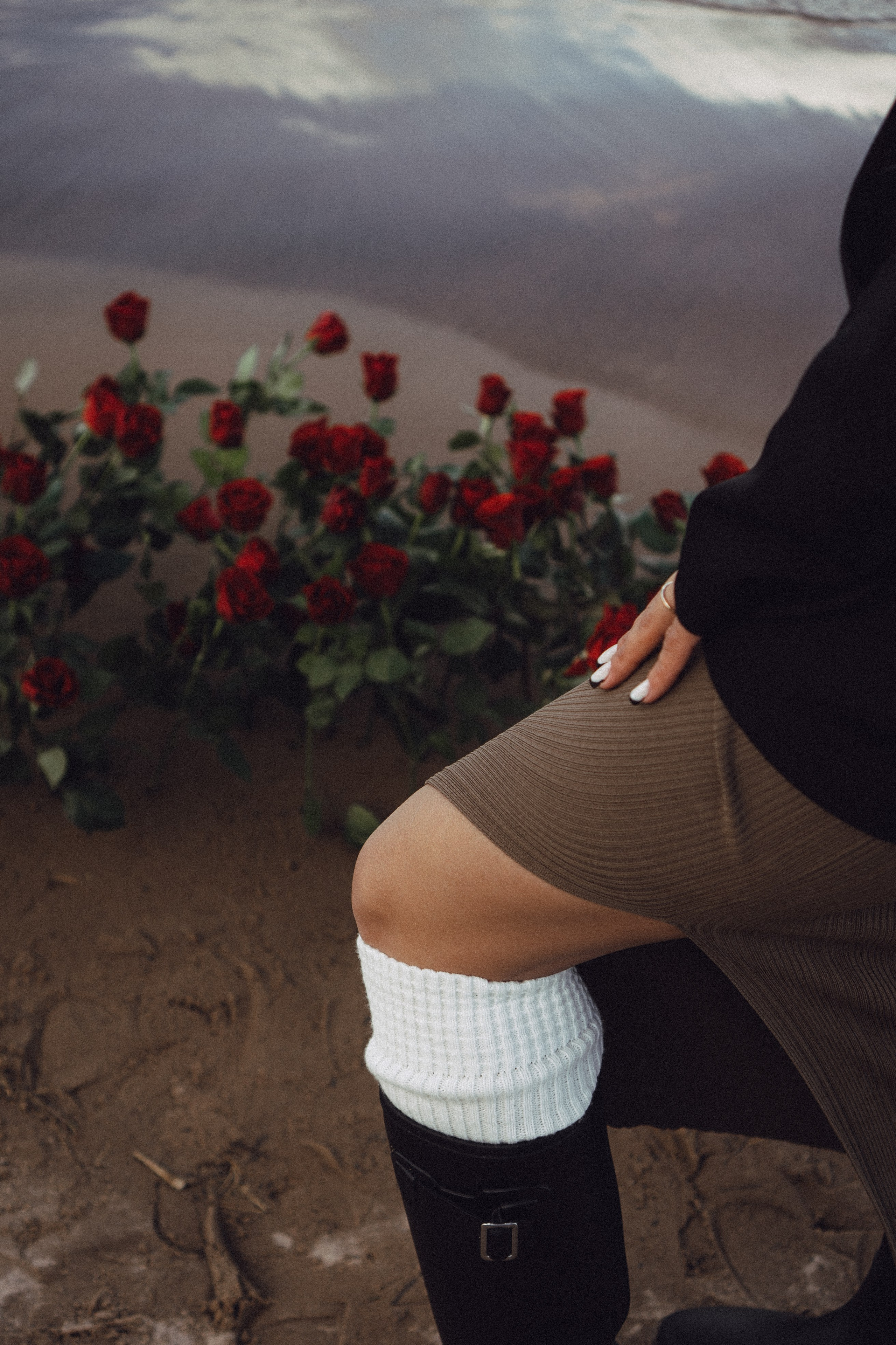 Розы. Профессиональный фотограф, Санкт-Петербург — Виктория Богомолова