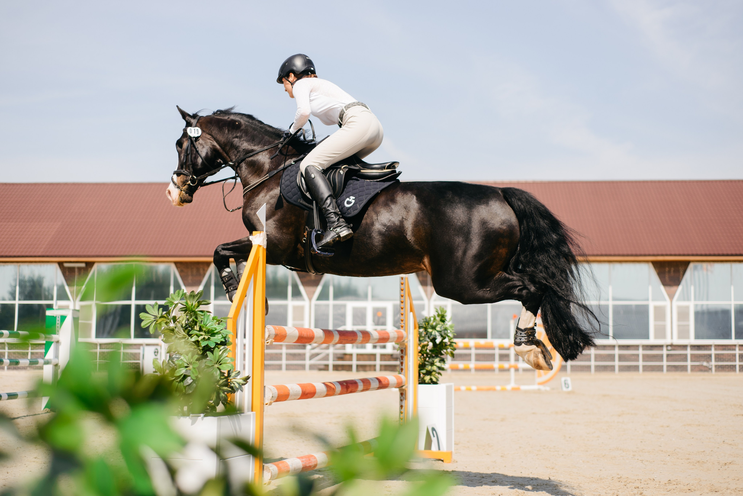 Соревнования