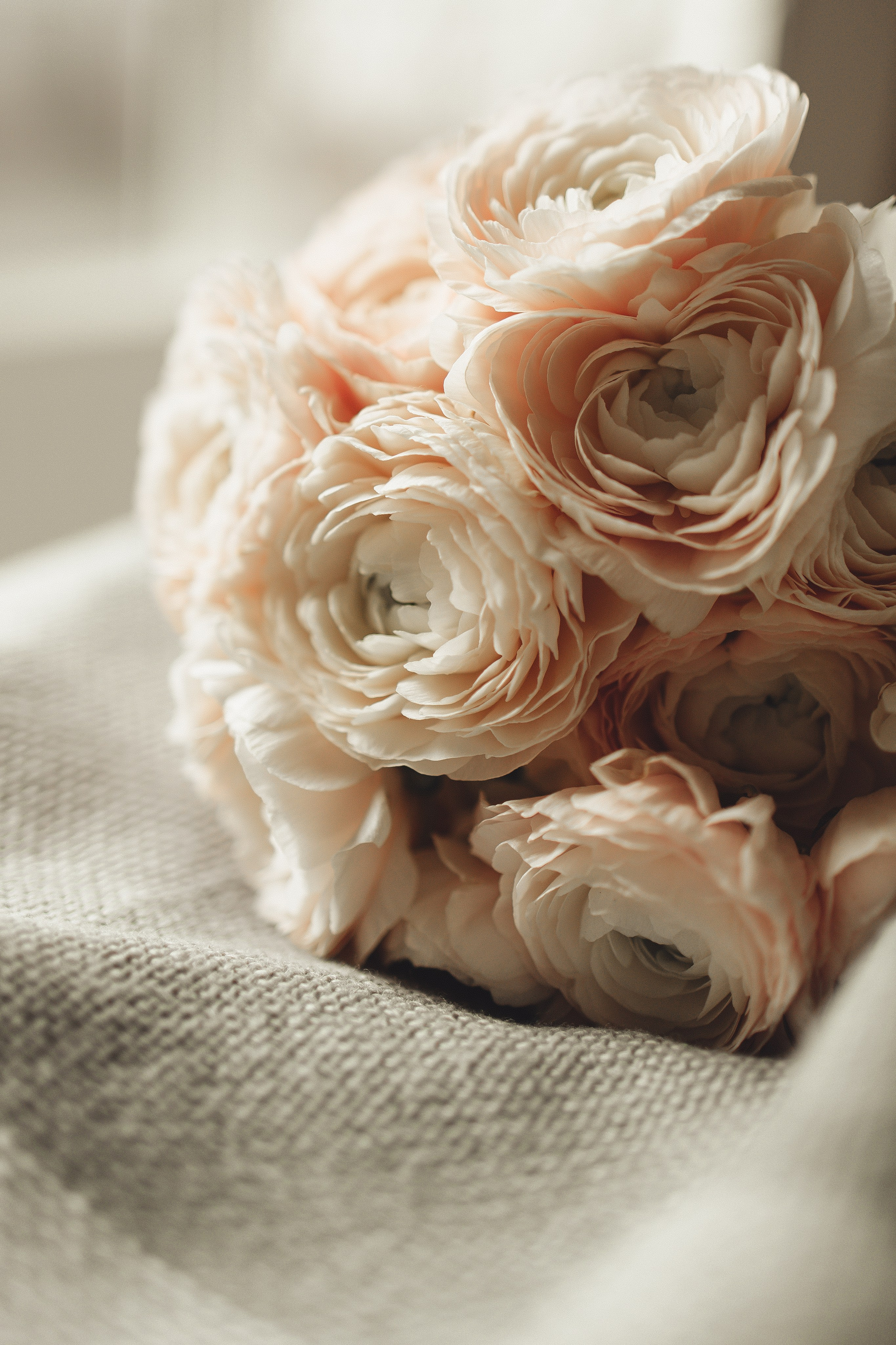 Свадебная история для двоих. Семейный и детский фотограф, таганрог, ростов-на-дону