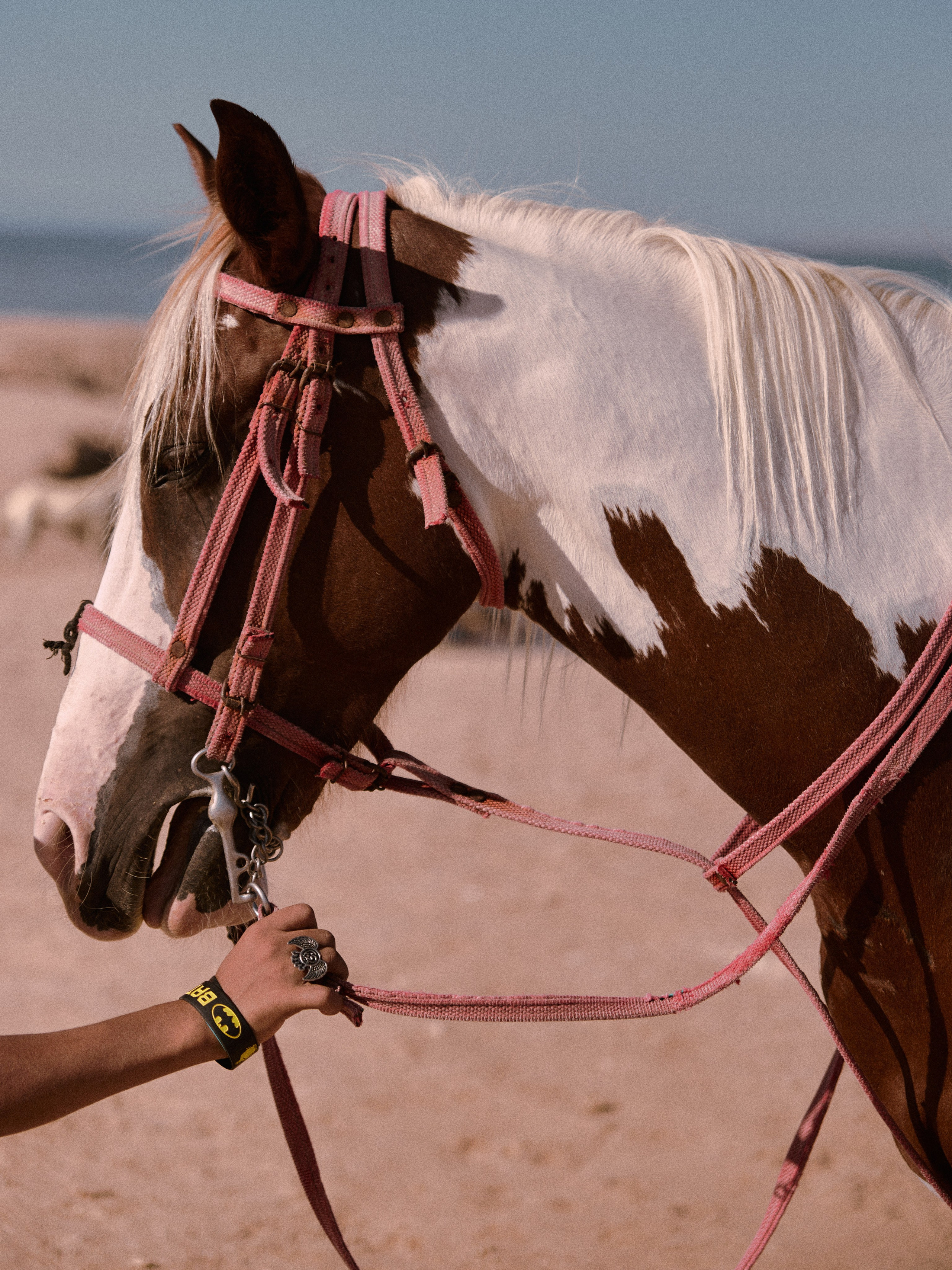 Другое 2. Jorgis Talè — photographer, kind person, teacher of arts and other mag