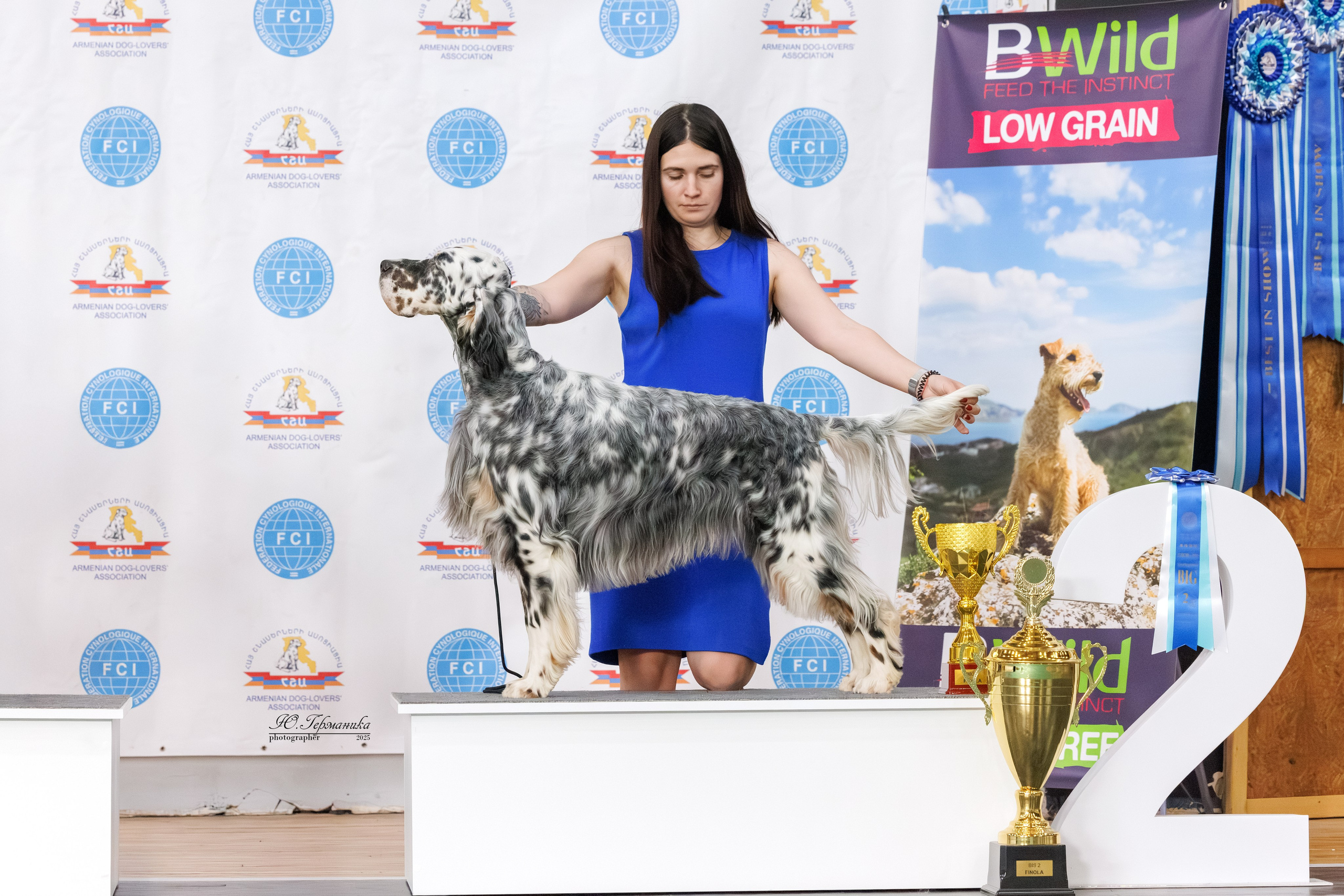 Ереван 2х CACIB 29-30.04.2025. Фотограф-анималист Юлия Германика