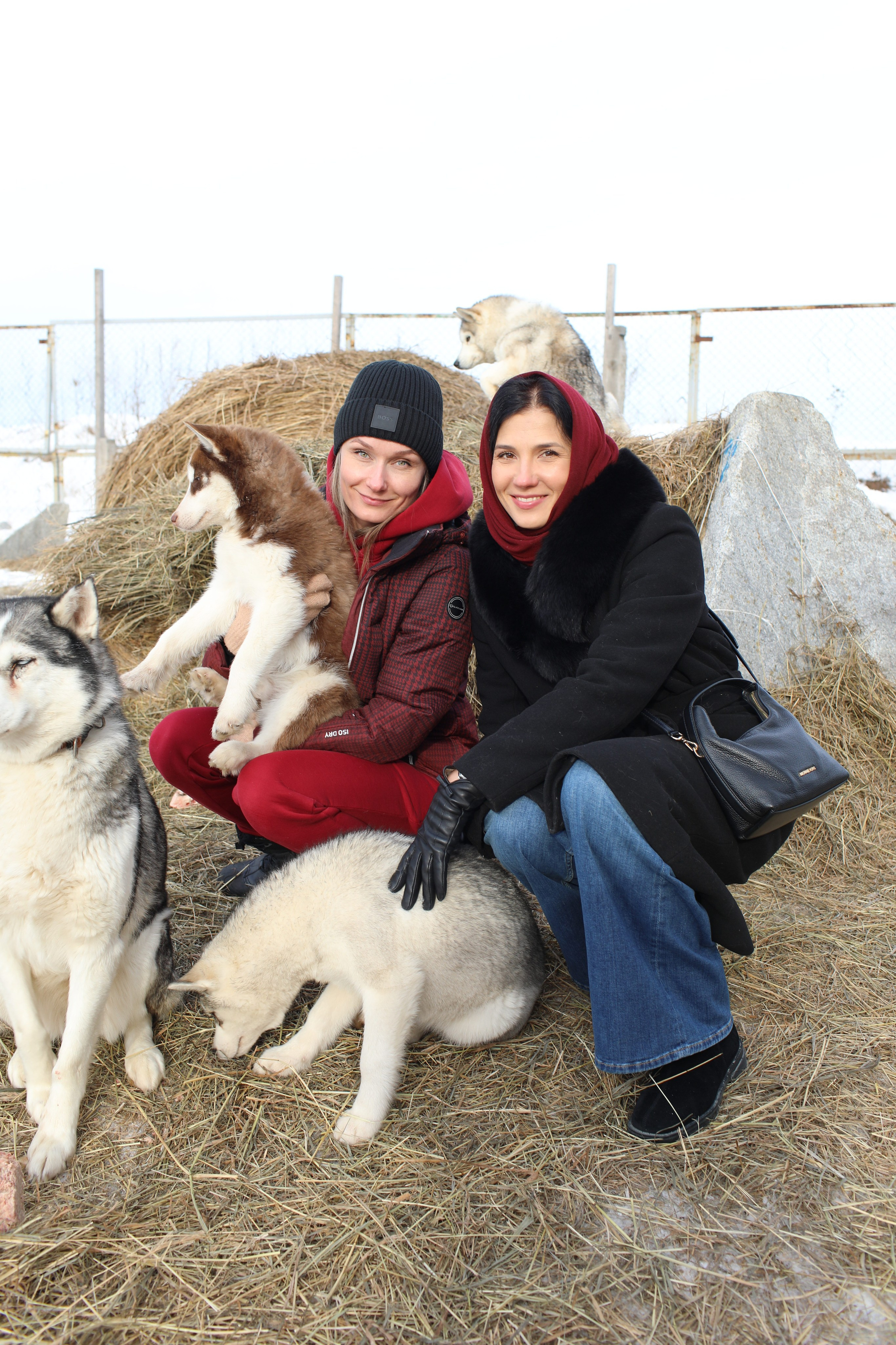 Наши партнеры. Иволга74