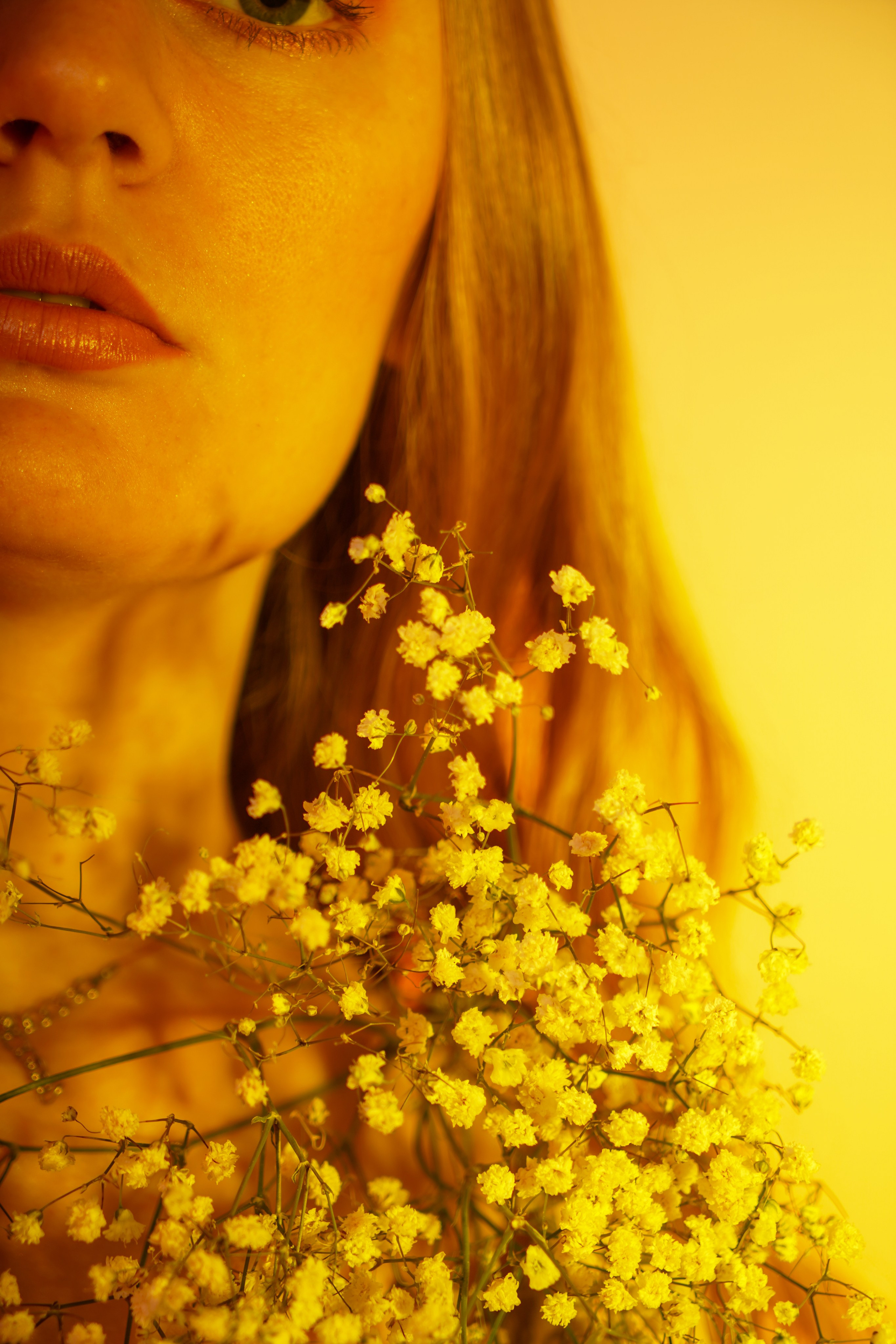 Елена. Портер с цветом. Главная