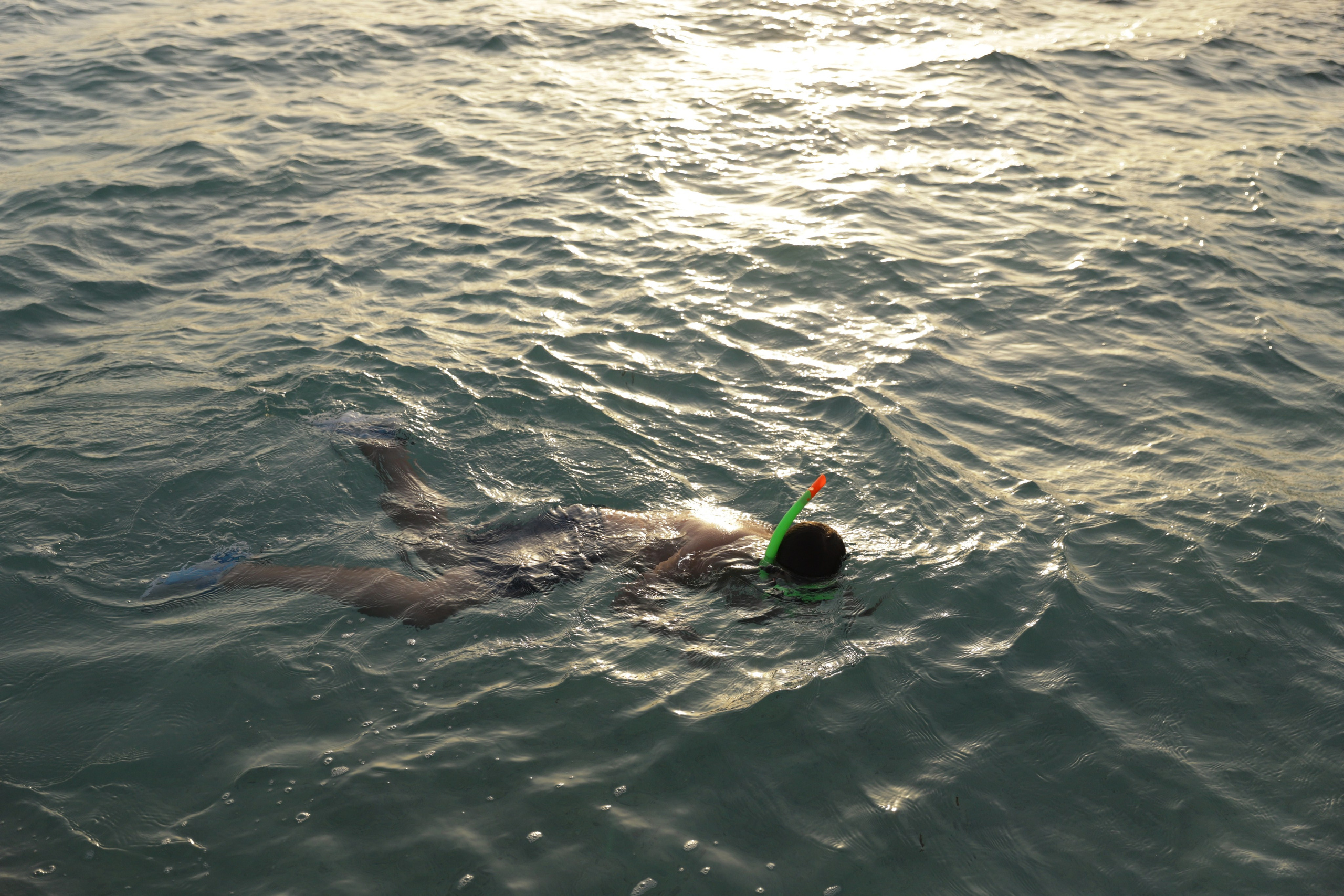 Шарм-Эль-Шейх. Светлана Иванова - профессиональный фотограф