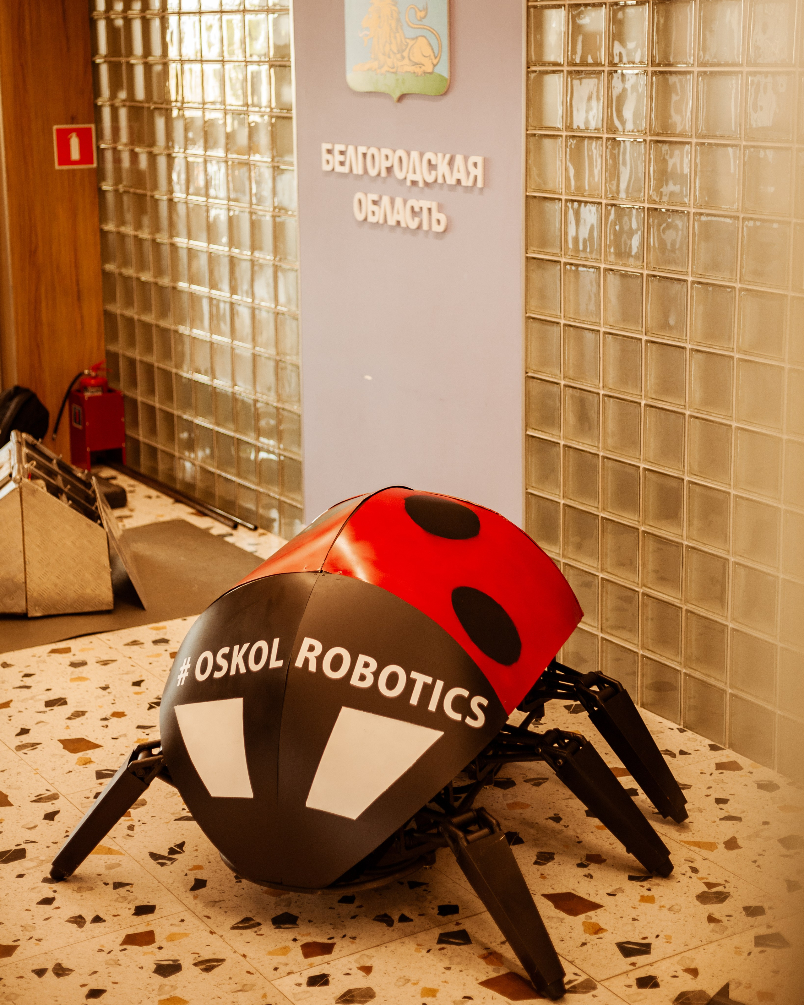 Oscol robotics, битва роботов и карьерный форум. Фотограф Старый Оскол Мавлыга Мария