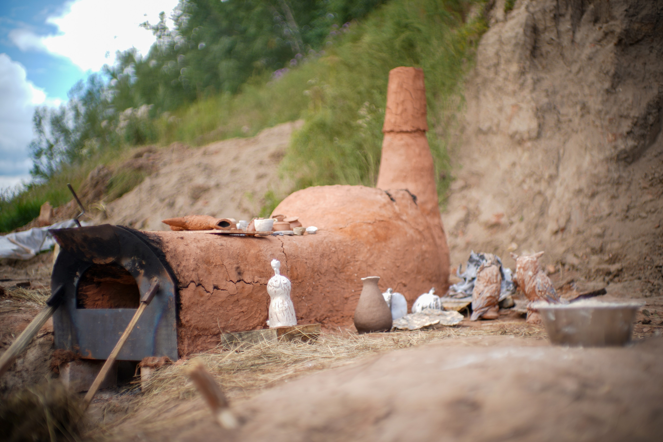 Wild fire 2024 — Дикий огонь 2024