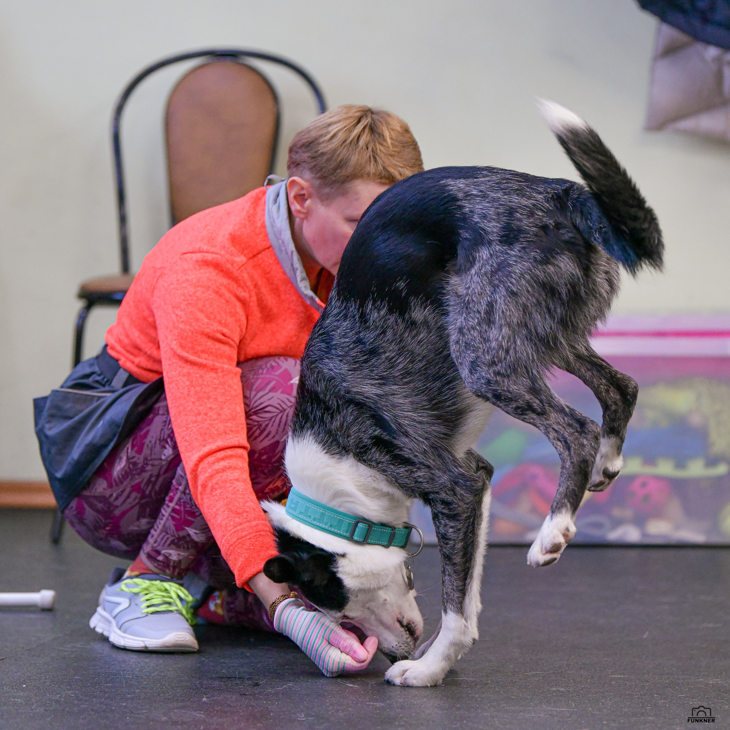 Кинологический клуб «Бодрый хвост». Свой взгляд через объектив