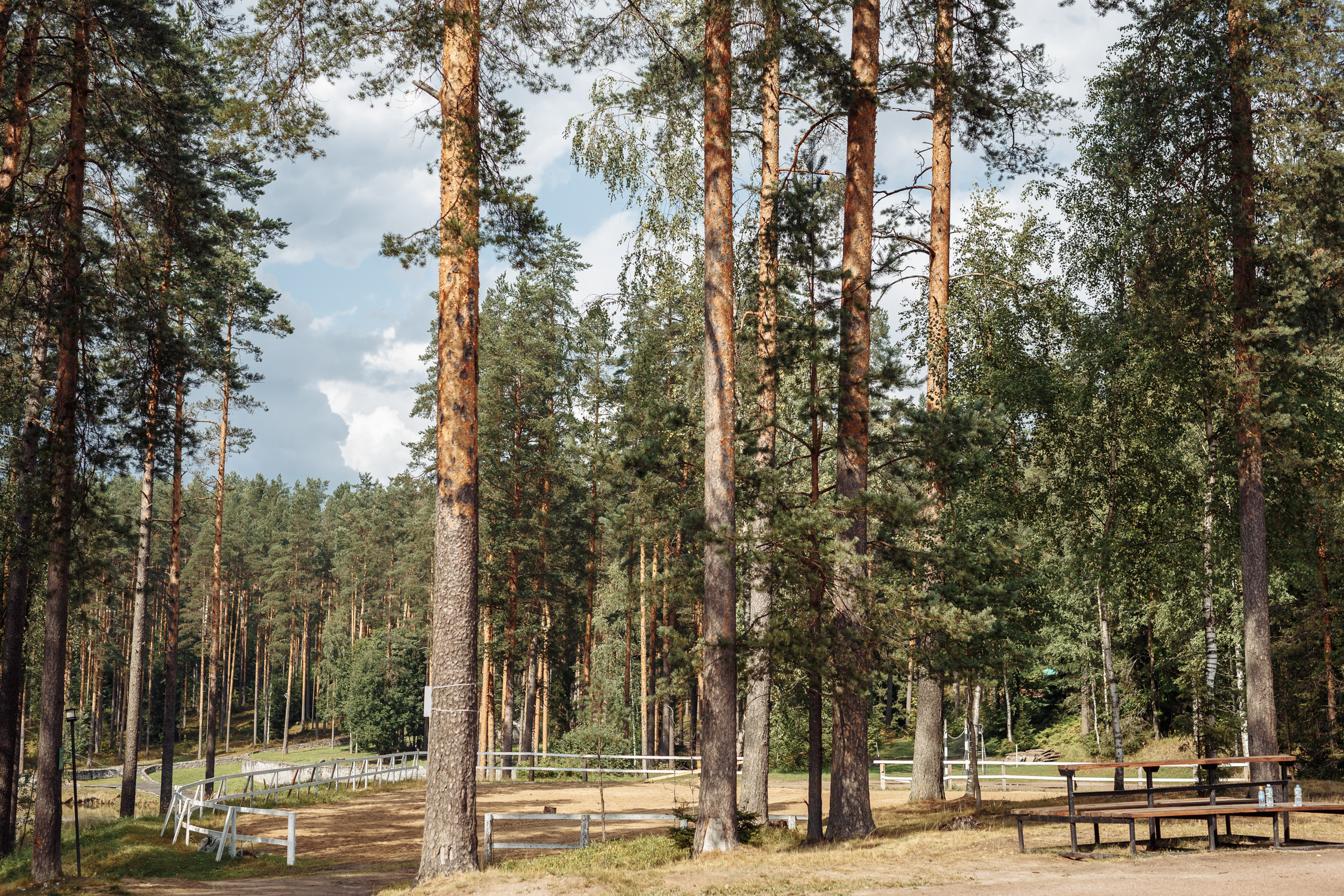 Donghee family day 2019. Свадебный фотограф СПБ Михаил Песиков