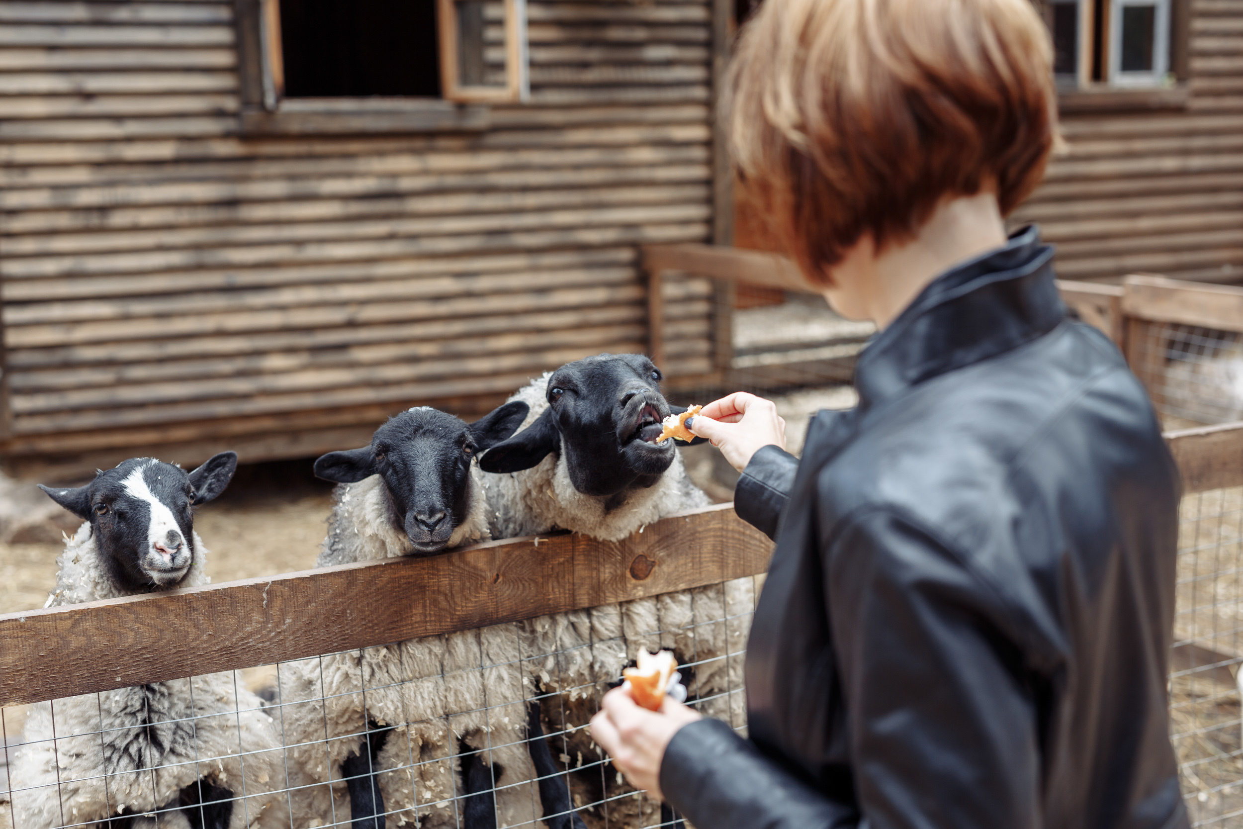 Donghee family day 2019. Свадебный фотограф СПБ Михаил Песиков