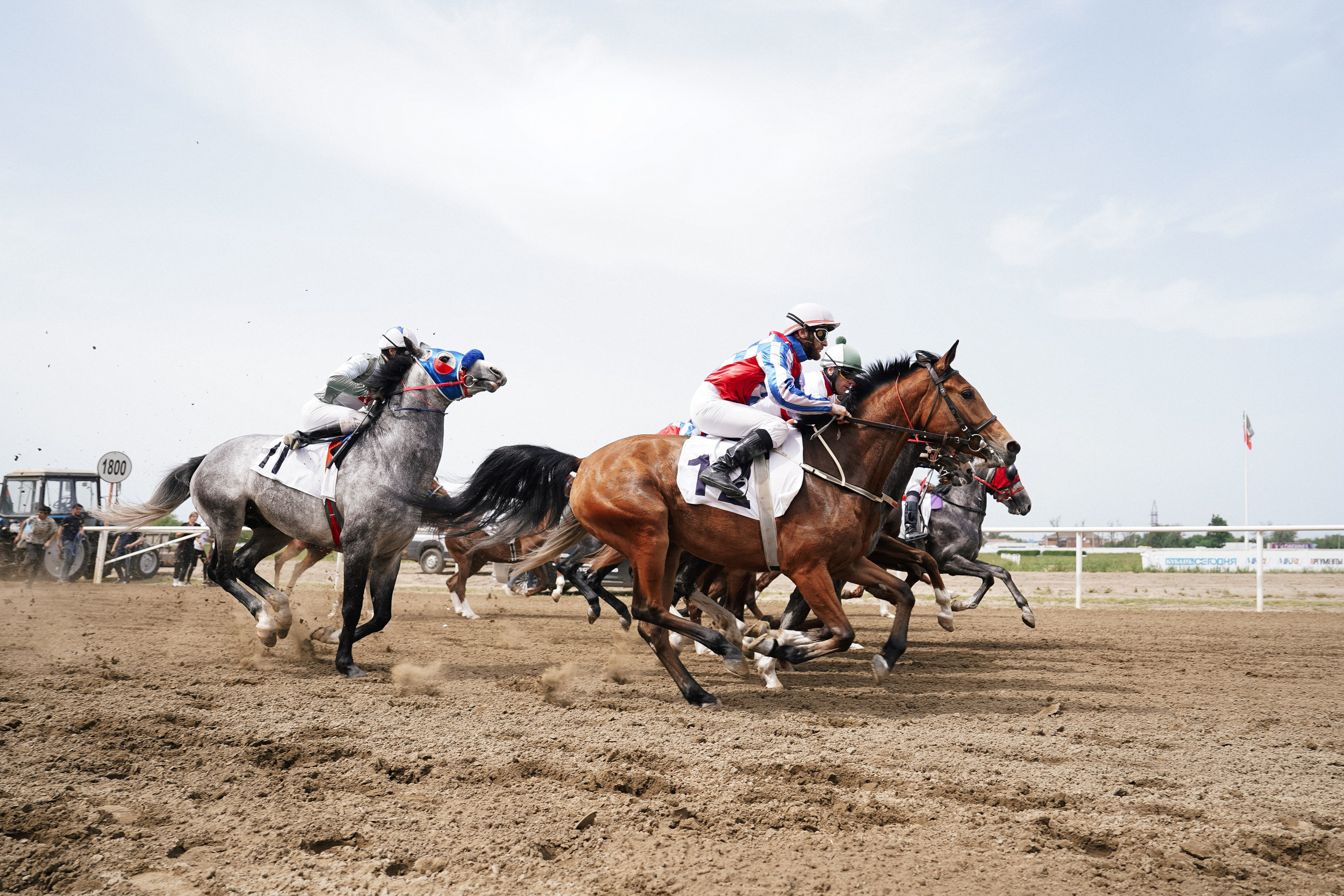 Скачки. Фотограф с психологическим образованием