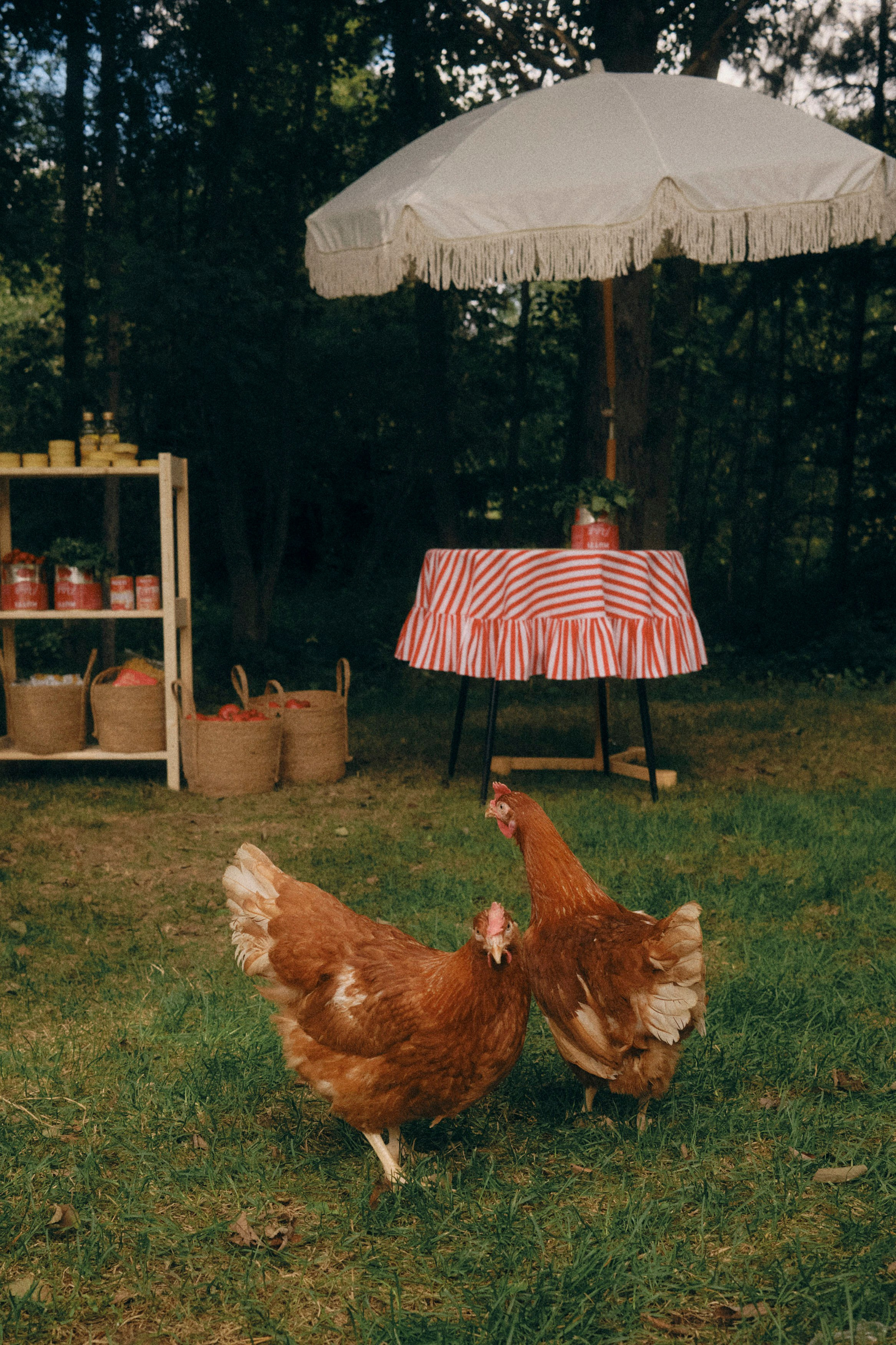 Kostya & Sofa. Фотограф Тим Бритнев