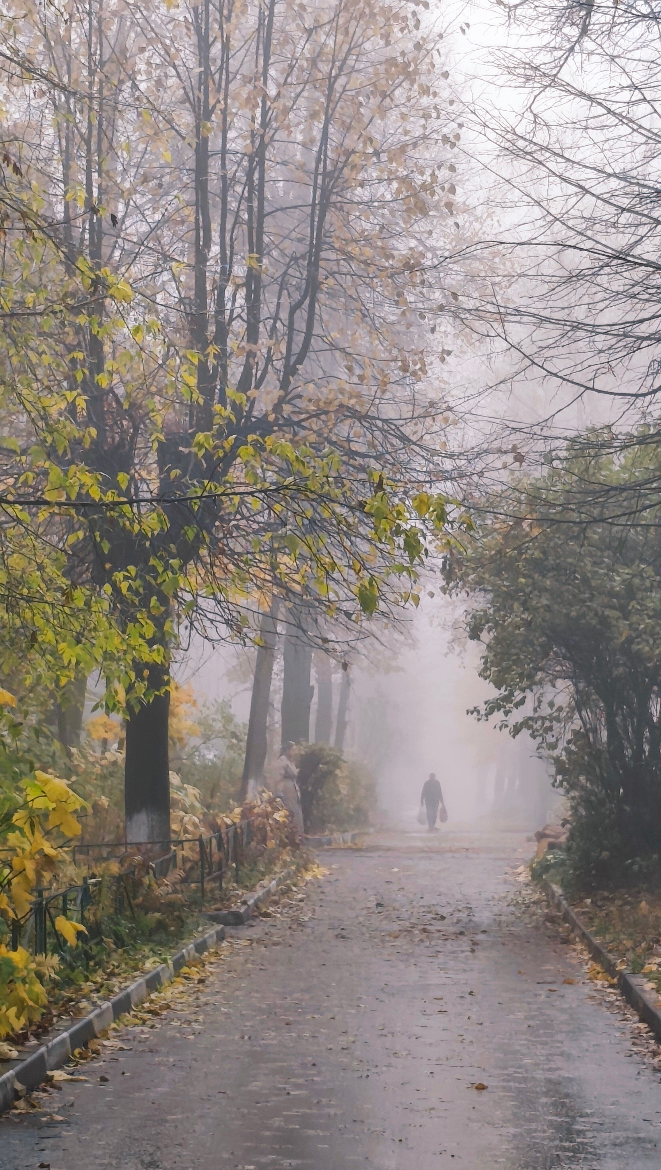Фотокарточки моментов. Фотограф Светлана Голицына