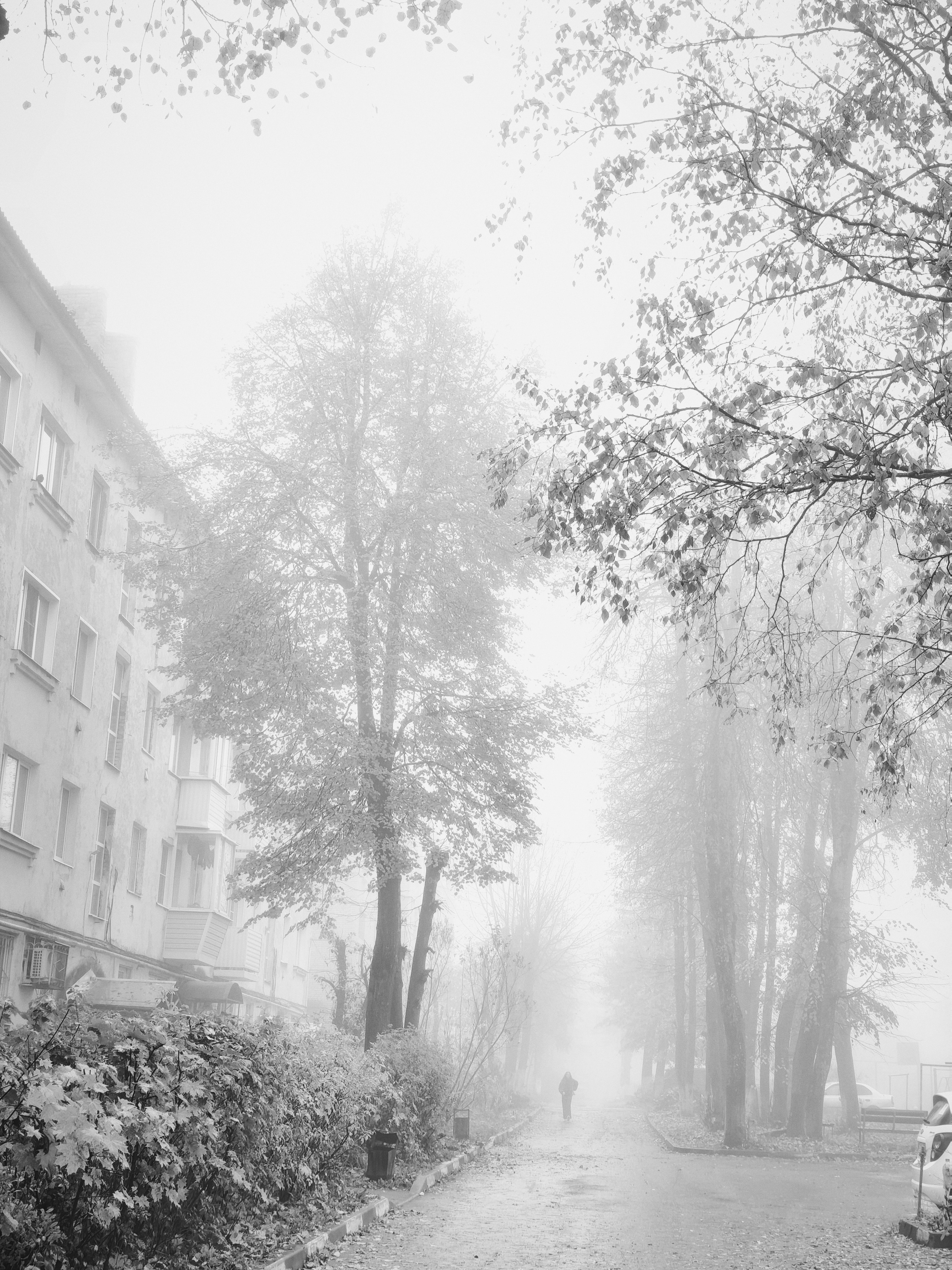Фотокарточки моментов. Фотограф Светлана Голицына