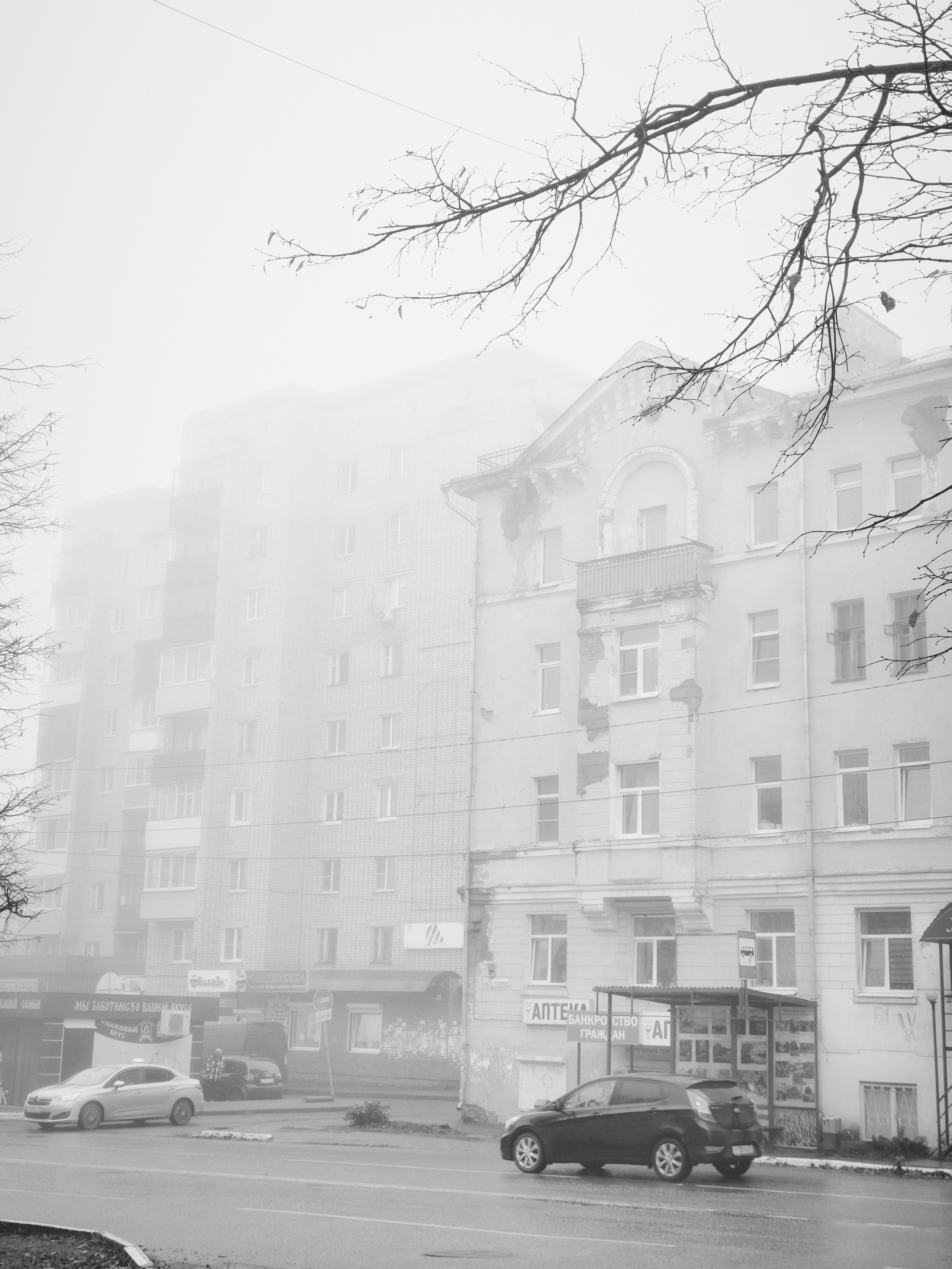 Фотокарточки моментов. Фотограф Светлана Голицына
