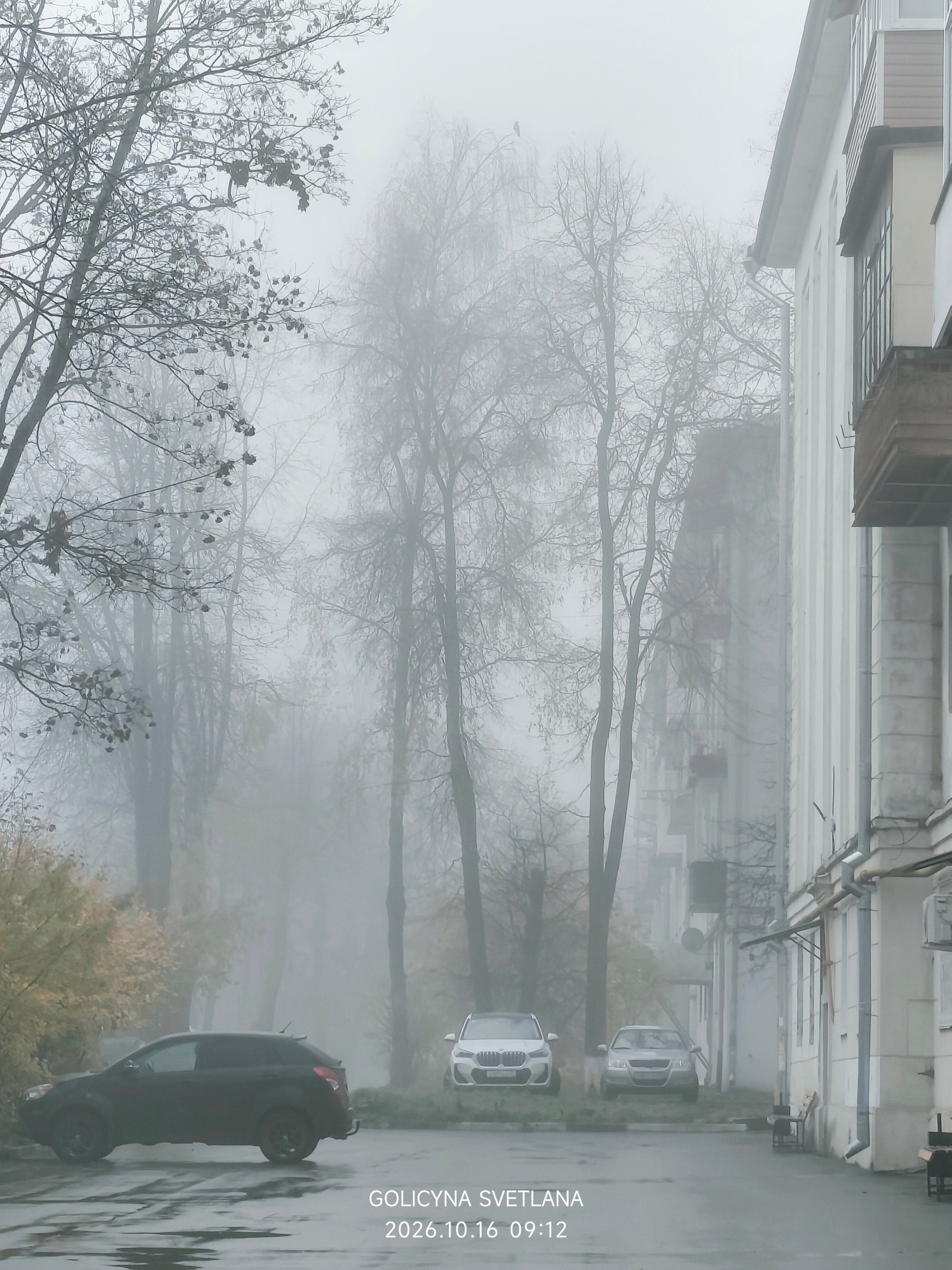 Фотокарточки моментов. Фотограф Светлана Голицына