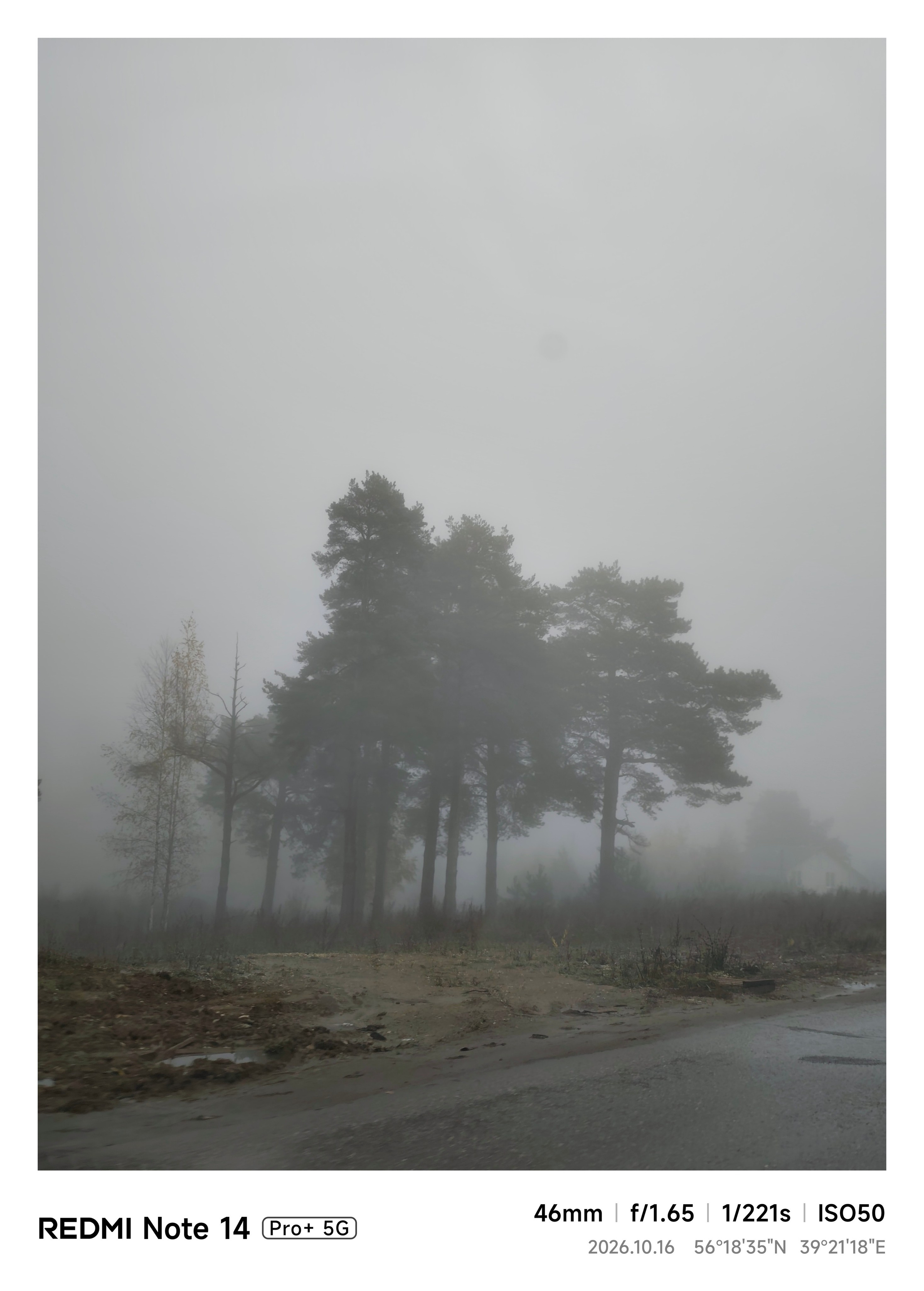 Фотокарточки моментов. Фотограф Светлана Голицына