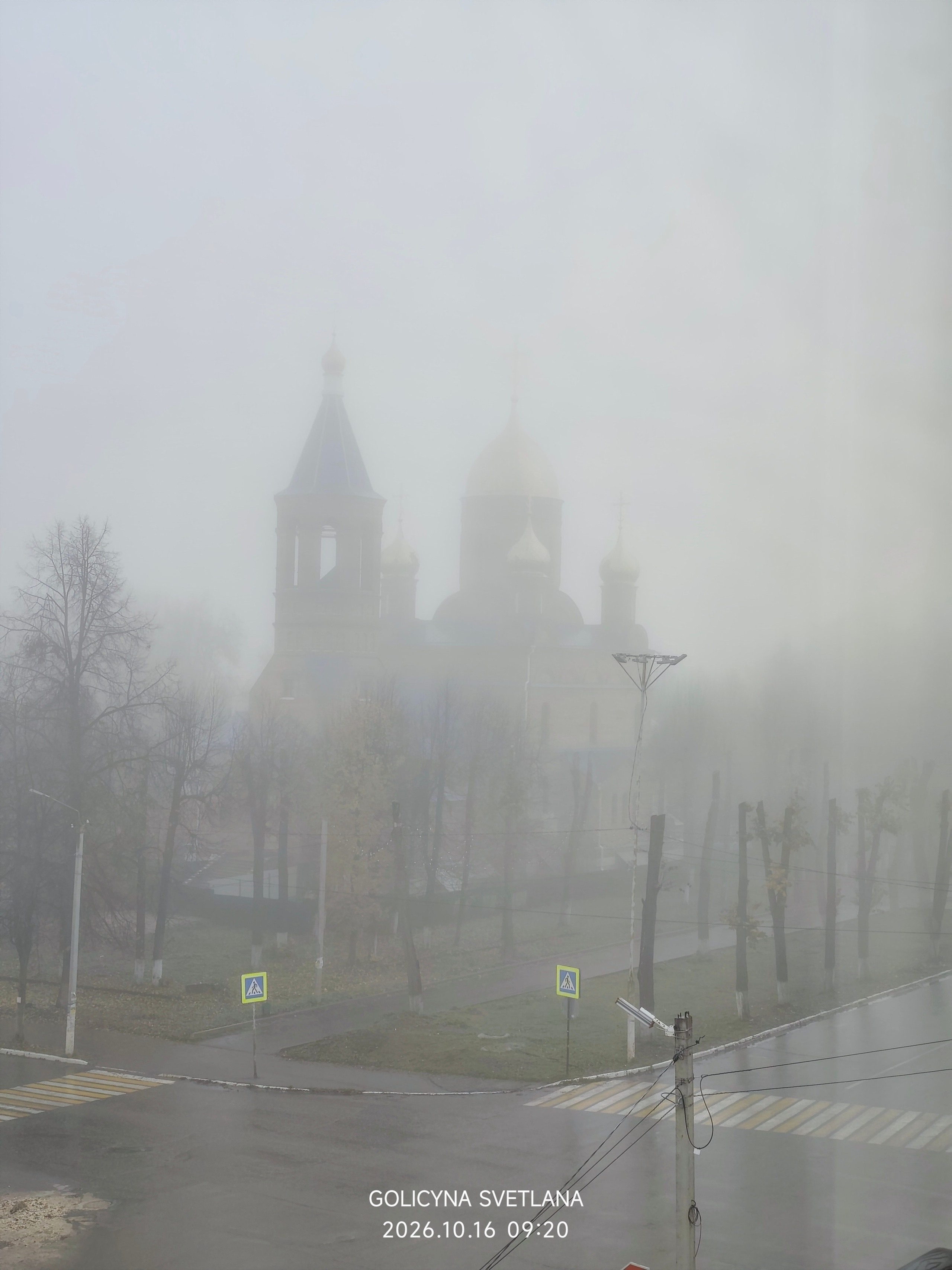 Фотокарточки моментов. Фотограф Светлана Голицына