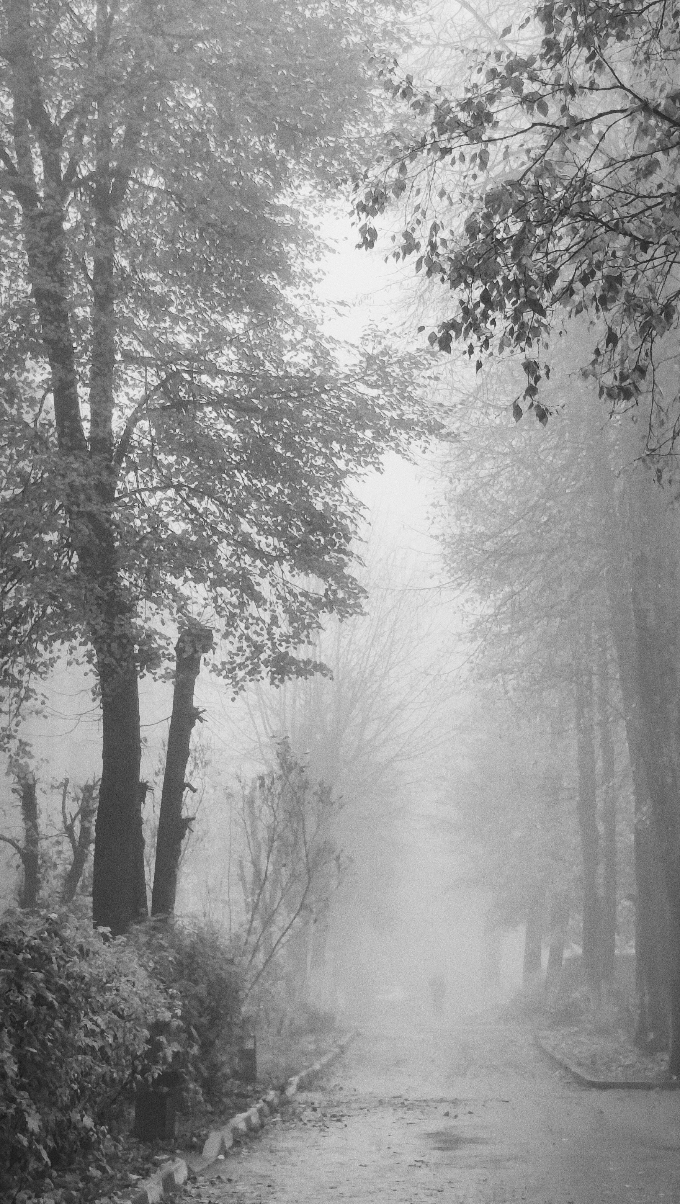 Фотокарточки моментов. Фотограф Светлана Голицына